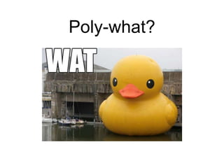 Poly-what?
 