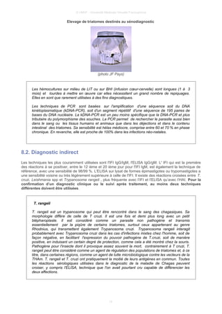 © UMVF - Université Médicale Virtuelle Francophone
Elevage de triatomes destinés au xénodiagnostic
(photo JF Pays)
Les hémocultures sur milieu de LIT ou sur BHI (infusion cœur-cervelle) sont longues (1 à 3
mois) et lourdes à mettre en œuvre car elles nécessitent un grand nombre de repiquages.
Elles en sont que rarement utilisées à des fins diagnostiques.
Les techniques de PCR sont basées sur l'amplification d'une séquence soit du DNA
kinétoplasmatique (kDNA-PCR), soit d'un segment répétitif d'une séquence de 195 paires de
bases du DNA nucléaire. La kDNA-PCR est un peu moins spécifique que la DNA-PCR et plus
tributaire du polymorphisme des souches. La PCR permet de rechercher le parasite aussi bien
dans le sang ou les tissus humains et animaux que dans les déjections et dans le contenu
intestinal des triatomes. Sa sensibilité est hélas médiocre, comprise entre 60 et 70 % en phase
chronique. En revanche, elle est proche de 100% dans les infections néo-natales.
8.2. Diagnostic indirect
Les techniques les plus couramment utilisées sont l'IFI IgG/IgM, l'ELISA IgG/gM. L' IFI qui est la première
des réactions à se positiver, entre le 12 ième et 20 ième jour pour l'IFI IgM, est également la technique de
référence, avec une sensibilité de 98/99 %. L'ELISA sur lysat de formes épimastigotes ou trypomastigotes a
une sensibilité voisine ou très légèrement supérieure à celle de l'IFI. Il existe des réactions croisées entre T.
cruzi, Leishmania spp et Trypanosoma rangeli , plus fréquente avec l’IFI et l’ELISA qu’avec l’HAI. Pour la
confirmation d’un diagnostic clinique ou le suivi après traitement, au moins deux techniques
différentes doivent être utilisées.
T. rangeli
T. rangeli est un trypanosome qui peut être rencontré dans le sang des chagasiques. Sa
morphologie diffère de celle de T cruzi. Il est une fois et demi plus long avec un petit
blépharoplaste. Il est considéré comme un parasite non pathogène et transmis
essentiellement par la piqûre de certains triatomes, surtout ceux appartenant au genre
Rhodnius, qui transmettent également Trypanosoma cruzi. Trypanosoma rangeli interagit
probablement avec Trypanosoma cruzi dans les cas d'infections mixtes chez l'homme, soit de
façon négative, en facilitant l'expression du pouvoir pathogène de T.cruzi, soit de manière
positive, en induisant un certain degré de protection, comme cela a été montré chez la souris.
Pathogène pour l'insecte dont il provoque assez souvent la mort, contrairement à T cruzi, T.
rangeli peut être considéré comme un agent de régulation des populations de triatomes et, à ce
titre, dans certaines régions, comme un agent de lutte microbiologique contre les vecteurs de la
THAm. T. rangeli et T. cruzi ont pratiquement la moitié de leurs antigènes en commun. Toutes
les réactions sérologiques utilisées dans le diagnostic de la maladie de Chagas peuvent
croiser, y compris l'ELISA, technique que l'on avait pourtant cru capable de différencier les
deux affections.
15
 