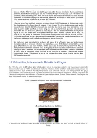 © UMVF - Université Médicale Virtuelle Francophone
Les co-infectés HIV/ T. cruzi non-traités par les ARV doivent bénéficier d’une prophylaxie
primaire (benznidazole 5mg/kg/j 3 fois par semaine) lorsque leur taux de CD4 est inférieur à
200/mm3
, et ceux traités par les ARV à la suite d’une réactivation révélatrice d’un sida doivent
bénéficier d’une chimioprophylaxie secondaire poursuivie au moins six mois après que leurs
CD4 soient repassés au-dessus de la barre des 200/mm3
.
Compte tenu d’une guérison obtenue, au mieux, dans 25/30 % des cas, la décision de traiter
les chagasiques chroniques âgés de plus de 15 ans ne peut être prise qu’au cas par cas, après
consentement éclairé (bénéfice/risques) des patients, du moins hors zone d’endémie. Une
séro-réversion stable pendant au moins cinq ans est le seul critère de guérison actuellement
disponible. En cas de succès, elle ne se produit que 3 à 5 ans après le traitement d’une phase
aiguë, 5 a 10 ans après celui d’une phase chronique dite « récente » (moins de 15 ans) , et
plus de 20 ans après le traitement d’une phase chronique évoluant depuis plus de 15 ans !
C’est dire la difficulté qu’il y a à entreprendre des études d’envergure concernant l’efficacité du
traitement étiologique de la maladie de Chagas en phase chronique.
Le traitement des complications tardives fait appel à la chirurgie, aux anti-arythmiques
(amiodarone) et en seconde intention aux digitaliques, aux défibrillateurs implantables, ainsi
qu’à différents types de pace-makers. Outre ceux liés à l'intervention proprement dite, la
transplantation cardiaque présente chez le chagasique deux risques supplémentaires: celui de
provoquer dans l'immédiat une réactivation de la maladie avec récidives à l'arrêt du traitement
et celui, pour le transplant, d'être colonisé à son tour par le parasite. Lorsque ces écueils
peuvent être évités, l'intervention se solde par une espérance de vie de plus de dix ans pour
65 % des transplantés.
10. Prévention, lutte contre la Maladie de Chagas
En 1991, les pays du Cône Sud (plus la Bolivie) ont pris la décision de mettre fin à la transmission vectorielle
intradomiciliaire de la THAm en éliminant Triatoma infestans. Cette ambition était raisonnable puisque ce
vecteur qui leur était commun n’avait pratiquement plus d’habitat naturel. Mais l’engagement des pays
concernés fut surtout motivé par un argument économique qui n’avait pas été pris en compte jusqu’alors: la
THAm finissait par coûter infiniment plus cher au plan médico-social que ne coûteraient les campagnes de
lutte destinées à mettre fin à sa transmission.
Lutte contre les triatomes avec des insecticides rémanents
(photo JF Pays)
R. prolixus résistant à la dieldrine
L’apparition de la résistance est associée à un changement de couleur des yeux, du noir au rouge (photo JF
Pays).
17
 