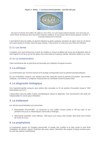 © UMVF - Université Médicale Virtuelle Francophone
Figure 3 : Selles : T. trichiura (trichocéphale) - oeuf [55 x22 µm]
Cet oeuf a la forme d'un ballon de rugby ou d'un citron. Il a une coque externe épaisse, d'un brun plus ou
moins foncé, fermée par deux bouchons muqueux saillants, et une coque interne assez épaisse, incolore. Il
n'est pas embryonné à la ponte.
L’œuf éliminé dans les selles ne devient infectant qu’après quelques semaines de séjour dans le sol (terre)
et le reste plusieurs années. Dans les pays chauds, il faut environ un mois pour que l’œuf soit infectant.
2.1.3. Les larves
L’ingestion d’un œuf embryonné (à partir de crudités ou d’eaux souillées) est suivie par la libération dans le
tube digestif d’une larve qui se fixe après cinq mues dans la muqueuse cæcale, devenant adulte en un mois.
2.1.4. La contamination
Cette nématodose liée au péril fécal est favorisée par l’utilisation d’engrais humains.
3. La clinique
La contamination par Trichuris trichiura et le portage correspondant sont en général asymptomatiques.
En cas d’infestation massive, une asthénie peut être observée durant la période d’incubation, des troubles
colitiques, une anémie un prolapsus rectal peuvent se manifester durant la phase d’état.
4. Le diagnostic biologique
Une hyperéosinophilie sanguine peut parfois être constatée en fin de période d’incubation (jusqu’à 1000
éosinophiles par mm3
).
L’observation dans les selles d’œufs caractéristiques assure le diagnostic. Une concentration des œufs est
indispensable en cas de pauci-infestation.
5. Le traitement
Les dérivés benzimidazolés sont préconisés :
● flubendazole (Fluvermal®) : un comprimé ou une cuillère mesure dosés à 100 mg matin et soir
pendant trois jours ou mébendazole (Vermox®) à l’étranger ;
● albendazole (Zentel®), moins efficace : 400 mg en cure unique chez l’adulte, demi-dose chez l’enfant
de moins de 2 ans.
6. La prophylaxie
La prophylaxie repose sur l’hygiène personnelle, le lavage des crudités et la lutte contre le péril fécal
(installation de latrines, égouts, traitement des eaux usées, interdiction des engrais d’origine humaine pour
les sols des cultures maraîchères).
5
 