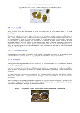 © UMVF - Université Médicale Virtuelle Francophone
Figure 2 : Oeufs d'Ascaris lumbricoides (et oeufs de trichocéphale)
2.1.3. Les larves
Après ingestion d’un oeuf embryonné, la larve est libérée dans le tube digestif (stade 3 du cycle
parasitaire).
Elle traverse la paroi intestinale et gagne le foie soit par la veine porte soit par le mésentère. Elle séjourne
trois à quatre jours dans le foie, y subissant une mue puis gagne le poumon par voie sanguine (stades 4 et 5
du cycle parasitaire). La larve traverse alors la paroi de l’alvéole pulmonaire, remonte l’arbre bronchique
jusqu’au pharynx où habituellement elle est déglutie en direction du tube digestif (stade 6 du cycle
parasitaire). La larve gagne le jéjunum où elle devient adulte (stade 7 du cycle parasitaire). Les femelles
commencent à pondre environ 2 mois après ingestion de l’œuf. Un œuf ne devient infestant qu’après un
séjour de quelques semaines dans le milieu extérieur (cette maturation est favorisée par une température et
une hygrométrie élevée).
2.1.4. La contamination
Cette parasitose cosmopolite est favorisée par la chaleur, l’humidité et les risques de contamination fécale
(utilisation d’engrais humains). Dans les pays tempérés, les infestations sont pauciparasitaires.
3. La clinique
Les manifestations cliniques dépendent de l’importance du parasitisme Elles sont habituellement absentes
en cas de pauci-parasitisme.
La phase de migration larvaire (stades 4 à 6 du cycle parasitaire) est marquée par un syndrome de Löffler :
accès de toux accompagnés de fièvre et d’images radiologiques pulmonaires fugaces asymétriques
(opacités).
La phase d’état est fréquemment marquée par des troubles digestifs (épisodes diarrhéiques, douleurs
abdominales mal localisées ; exceptionnellement des signes nerveux (irritabilité, troubles du sommeil voire
convulsions).
Des complications chirurgicales peuvent être observées par migration et/ou accumulation d’adultes donnant
des signes d’angiocholite fébrile, de pancréatite aiguë hémorragique ou d’appendicite, d’occlusion
intestinale, d’étranglement herniaire, de perforation intestinale.
Figure 3 : Expulsion d'Ascaris lumbricoides après traitement par l'ivermectine
5
 