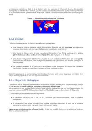 © UMVF - Université Médicale Virtuelle Francophone
La résistance variable au froid et à la chaleur selon les espèces de Trichinella favorise la répartition
cosmopolite de la trichinellose animale. Les habitudes et les interdits alimentaires expliquent la répartition de
la trichinellose humaine (prédominance en Europe centrale, dans le continent américain et dans le grand
Nord).
Figure 5 : Répartition géographique de Trichinella
3. La clinique
L’infection humaine permet de décrire habituellement quatre phases :
● Une phase de catarrhe intestinal, dès la 48ème heure. Marquée par des diarrhées, vomissements,
douleurs abdominales, elle correspond à l’apparition des adultes dans l’intestin.
● Une phase de dissémination larvaire marquée par l’apparition d’une fièvre continue, d’un œdème
généralisé sous-cutané particulièrement palpébral, des myalgies, et de diplopie.
● Une phase d’enkystement débute une quinzaine de jours après la contamination. Elle correspond à
une diminution de la fièvre, des myalgies et oedèmes avec persistance des lésions cardiaques et
neurologiques.
● Le passage progressif à la chronicité s’accompagne d’une diminution du risque vital (accidents
cardiaques). Les signes musculaires peuvent persister plusieurs années.
Selon l’importance de la contamination, la trichinellose humaine peut passer inaperçue, se réduire à un
simple œdème palpébral, ou être très rapidement mortelle.
4. Le diagnostic biologique
L’orientation vers le diagnostic de trichinellose humaine est souvent donnée par la symptomatologie clinique
ou par la notion de petite épidémie familiale et d’habitudes alimentaires.
La constatation d’une éosinophilie importante (jusqu’à 20000 éosinophiles par mm3
), et l’augmentation des
enzymes musculaires (CPK, aldolases) sont également de très bons signes d’orientation du diagnostic
La certitude diagnostique relève de deux arguments :
● la sérologie spécifique par ELISA, ou IFI, confirmée par immuno-empreinte, peut se positiver
tardivement.
● la visualisation des larves possible après biopsie musculaire (deltoïde), à partir de la troisième
semaine de contamination ; ce geste invasif est rarement réalisé.
L’examen parasitologique des selles est inutile : il n’est pas possible d’observer les adultes ou les larves
dans les selles diarrhéiques.
6
 
