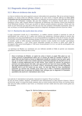 © UMVF - Université Médicale Virtuelle Francophone
5.2. Diagnostic direct (phase d’état)
5.2.1. Mise en évidence des œufs
La mise en évidence des œufs apporte la preuve indiscutable de la parasitose. Elle est en principe toujours
possible à la phase d’état de l’affection, lorsque le ver sera arrivé à maturité soit 2 à 3 mois après
l’infestation par les furcocercaires. Cependant, sa réalisation se heurte parfois à des difficultés techniques
et dans le cas d’infestation modérée, elle peut être malaisée. Si la présence d'oeufs dans un produit
biologique (urines, selle, biopsie) affirme le diagnostic de bilharziose, leur absence n'exclut pas l'existence
d'une bilharziose évolutive. D'une part, la ponte ne débute qu'après plusieurs semaines, d'autre part, les
oeufs ne sont retrouvés que dans 60 à 70% des cas avec des variations individuelles importantes. Dans ce
cas, la clinique, le contexte épidémiologique associé au diagnostic sérologique prennent toute leur valeur.
5.2.1.1. Recherche des œufs dans les urines
Il s’agit uniquement d’œufs de S. haematobium. Le meilleur examen consiste à examiner le culot de
sédimentation des urines de 24 h après avoir éliminé les substances chimiques gênant la lecture (les
phosphates et le sang essentiellement). En cas d’impossibilité de recueillir les urines de 24 heures, les œufs
peuvent être recherchés dans les dernières gouttes d’urines et de préférence sur miction complète matinale,
si possible, après un effort physique prémictionnel (marche à pied, montée d’un escalier, gymnastique
pelvienne, sautillement…). Ces urines seront décantées pendant 24 heures et après avoir rejeté le
surnageant, elles seront centrifugées à 1 500 tours/ minute pendant 3 à 4 mn. Le culot de centrifugation sera
examiné en totalité.
La technique de filtration sur membrane est une méthode sensible et fidèle et permet une évaluation
quantitative (nombre d’œufs par litre d’urine).
Dans la technique de filtration, on aspire les urines à travers un papier filtre placé sur une
surface poreuse et généralement retenu par un anneau de métal qui canalise le liquide. Le
papier filtre est alors traité au formol ou légèrement chauffé de manière à tuer les œufs, après
quoi on le mouille à l’aide d’une solution aqueuse récemment préparée de ninhydrine et on le
chauffe à nouveau légèrement pour le faire sécher. Sous l’action du colorant, les embryons
prennent une teinte pourpre très nette, sans que la forme de l’œuf s’en trouve modifiée. Pour
des études épidémiologiques sur le terrain, l’O.M.S. recommande l’emploi de filtre réutilisable
(Nytrel®) dont le prix de revient est peu élevé. Ce sont des filtres en tissu monofilament
polyamide qui donnent des résultats aussi précis que le filtre à membrane polycarbonate
(Nucleopore®) dans la technique de filtration avec seringue pour le diagnostic et l’évaluation
quantitative des œufs de S. haematobium dans l’urine.
Les œufs de S. haematobium sont grands, mesurant en moyenne 150 µm sur 60 µm.
Ils sont de forme ovalaire, réguliers, normalement sans rétrécissement au pôle opposé à l’éperon. Celui-ci
est terminal, apical. La coque est simple, épaisse, plus ou moins incolore dans les urines, et à contour jaune
clair dans les selles (noirâtre si œuf mort). Le miracidium est bien visible dans les œufs vivants grâce aux
cils vibratiles.
Figure 16 : Œuf de Schistosoma haematobium
17
 