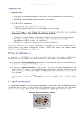 © UMVF - Université Médicale Virtuelle Francophone
Objectifs ENC
● Item 113. Prurit :
○ Argumenter les principales hypothèses diagnostiques et justifier les examens complémentaires
pertinents.
○ Argumenter l'attitude thérapeutique et planifier le suivi du patient.
● Item 167. Gale et pédiculose :
○ Diagnostiquer et traiter une gale et une pédiculose.
○ Connaître la conduite à tenir devant un cas contact et en cas d’épidémie.
● Item 171. Voyage en pays tropical de l’adulte et de l’enfant. Conseils avant le départ,
pathologies du retour : fièvre, diarrhée, manifestations cutanées :
○ Connaître les conseils d’hygiène et de prévention adaptée, y compris la vaccination anti-amarile.
○ Connaître les principales causes de fièvre, diarrhée, de manifestations cutanées et de
manifestations cutanées au retour d’un pays tropical.
○ Connaître les symptômes d’une dengue, d’une infection à chikungunya.
Poux, puces, punaises et tiques sont des ectoparasites hématophages. Ils provoquent des lésions plus ou
moins typiques et de gravité généralement modérée. Certains sont vecteurs de maladies virales,
bactériennes ou parasitaires pouvant être graves.
1. Poux et pédiculoses
Les pédiculoses sont des affections cosmopolites causées par des insectes hématophages de la famille des
Pediculiae, les poux. On distingue trois formes cliniques dues à des parasites spécifiques de l'Homme :
● la pédiculose à Pediculus capitis ou pou de tête. C’est une affection bénigne, fréquente en France,
notamment dans les collectivités d’enfants jeunes.
● la pédiculose à Pediculus humanus ou pou de corps. Cette pédiculose, devenue rare en France, ne
touche plus que les personnes à hygiène défectueuse, principalement, les « sans domicile fixe ». Les
poux de corps peuvent transmettre le typhus exanthématique, la fièvre récurrente à poux et la fièvre
des tranchées.
● la pthirose ou « pédiculose » à Pthirus pubis, communément appelé morpion, est bénigne et plus
rare.
1.1. Agents pathogènes
Les poux sont des insectes au corps aplati dorso-ventralement. Leur couleur à jeun varie en fonction de leur
hôte habituel, allant du jaune très clair chez les sujets blonds au noir chez les sujets très bruns. Gorgés de
sang, ils deviennent rouges. Poux de tête et poux de corps sont morphologiquement très voisins.
Figure 1 : Pediculus humanus femelle
(Photo A. Izri)
3
 