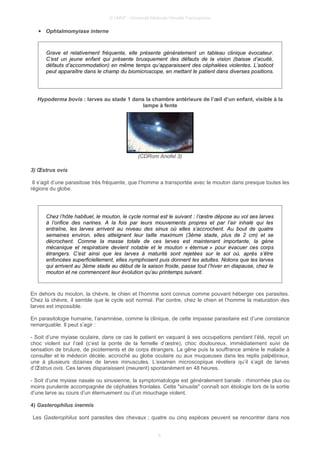 © UMVF - Université Médicale Virtuelle Francophone
● Ophtalmomyiase interne
Grave et relativement fréquente, elle présente généralement un tableau clinique évocateur.
C’est un jeune enfant qui présente brusquement des défauts de la vision (baisse d’acuité,
défauts d’accommodation) en même temps qu’apparaissent des céphalées violentes. L’asticot
peut apparaître dans le champ du biomicroscope, en mettant le patient dans diverses positions.
Hypoderma bovis : larves au stade 1 dans la chambre antérieure de l’œil d’un enfant, visible à la
lampe à fente
(CDRom Anofel 3)
3) Œstrus ovis
Il s’agit d’une parasitose très fréquente, que l’homme a transportée avec le mouton dans presque toutes les
régions du globe.
Chez l’hôte habituel, le mouton, le cycle normal est le suivant : l’œstre dépose au vol ses larves
à l’orifice des narines. A la fois par leurs mouvements propres et par l’air inhalé qui les
entraîne, les larves arrivent au niveau des sinus où elles s’accrochent. Au bout de quatre
semaines environ, elles atteignent leur taille maximum (3ème stade, plus de 2 cm) et se
décrochent. Comme la masse totale de ces larves est maintenant importante, la gène
mécanique et respiratoire devient notable et le mouton « éternue » pour évacuer ces corps
étrangers. C’est ainsi que les larves à maturité sont rejetées sur le sol où, après s’être
enfoncées superficiellement, elles nymphosent puis donnent les adultes. Notons que les larves
qui arrivent au 3ème stade au début de la saison froide, passe tout l’hiver en diapause, chez le
mouton et ne commencent leur évolution qu’au printemps suivant.
En dehors du mouton, la chèvre, le chien et l’homme sont connus comme pouvant héberger ces parasites.
Chez la chèvre, il semble que le cycle soit normal. Par contre, chez le chien et l’homme la maturation des
larves est impossible.
En parasitologie humaine, l’anamnèse, comme la clinique, de cette impasse parasitaire est d’une constance
remarquable. Il peut s’agir :
- Soit d’une myiase oculaire, dans ce cas le patient en vaquant à ses occupations pendant l’été, reçoit un
choc violent sur l’œil (c’est la ponte de la femelle d’œstre), choc douloureux, immédiatement suivi de
sensation de brulure, de picotements et de corps étrangers. La gêne puis la souffrance amène le malade à
consulter et le médecin décèle, accroché au globe oculaire ou aux muqueuses dans les replis palpébraux,
une à plusieurs dizaines de larves minuscules. L’examen microscopique révélera qu’il s’agit de larves
d’Œstrus ovis. Ces larves disparaissent (meurent) spontanément en 48 heures.
- Soit d’une myiase nasale ou sinusienne, la symptomatologie est généralement banale : rhinorrhée plus ou
moins purulente accompagnée de céphalées frontales. Cette "sinusite" connaît son étiologie lors de la sortie
d’une larve au cours d’un éternuement ou d’un mouchage violent.
4) Gasterophilus inermis
Les Gasterophilus sont parasites des chevaux ; quatre ou cinq espèces peuvent se rencontrer dans nos
6
 