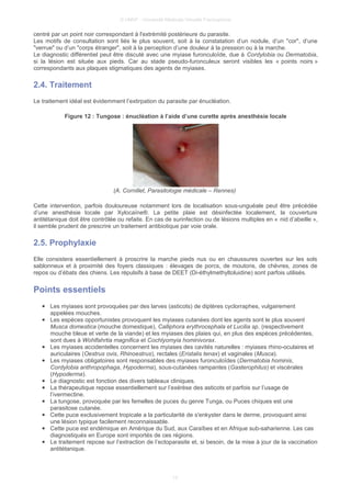 © UMVF - Université Médicale Virtuelle Francophone
centré par un point noir correspondant à l'extrémité postérieure du parasite.
Les motifs de consultation sont liés le plus souvent, soit à la constatation d’un nodule, d’un "cor", d’une
"verrue" ou d’un "corps étranger", soit à la perception d’une douleur à la pression ou à la marche.
Le diagnostic différentiel peut être discuté avec une myiase furonculoïde, due à Cordylobia ou Dermatobia,
si la lésion est située aux pieds. Car au stade pseudo-furonculeux seront visibles les « points noirs »
correspondants aux plaques stigmatiques des agents de myiases.
2.4. Traitement
Le traitement idéal est évidemment l’extirpation du parasite par énucléation.
Figure 12 : Tungose : énucléation à l’aide d’une curette après anesthésie locale
(A. Cornillet, Parasitologie médicale – Rennes)
Cette intervention, parfois douloureuse notamment lors de localisation sous-unguéale peut être précédée
d’une anesthésie locale par Xylocaïne®. La petite plaie est désinfectée localement, la couverture
antitétanique doit être contrôlée ou refaite. En cas de surinfection ou de lésions multiples en « nid d’abeille »,
il semble prudent de prescrire un traitement antibiotique par voie orale.
2.5. Prophylaxie
Elle consistera essentiellement à proscrire la marche pieds nus ou en chaussures ouvertes sur les sols
sablonneux et à proximité des foyers classiques : élevages de porcs, de moutons, de chèvres, zones de
repos ou d’ébats des chiens. Les répulsifs à base de DEET (Di-éthylmethyltoluidine) sont parfois utilisés.
Points essentiels
● Les myiases sont provoquées par des larves (asticots) de diptères cyclorraphes, vulgairement
appelées mouches.
● Les espèces opportunistes provoquent les myiases cutanées dont les agents sont le plus souvent
Musca domestica (mouche domestique), Calliphora erythrocephala et Lucilia sp. (respectivement
mouche bleue et verte de la viande) et les myiases des plaies qui, en plus des espèces précédentes,
sont dues à Wohlfahrtia magnifica et Cochlyomyia hominivorax.
● Les myiases accidentelles concernent les myiases des cavités naturelles : myiases rhino-oculaires et
auriculaires (Oestrus ovis, Rhinoestrus), rectales (Eristalis tenax) et vaginales (Musca).
● Les myiases obligatoires sont responsables des myiases furonculoïdes (Dermatobia hominis,
Cordylobia anthropophaga, Hypoderma), sous-cutanées rampantes (Gasterophilus) et viscérales
(Hypoderma).
● Le diagnostic est fonction des divers tableaux cliniques.
● La thérapeutique repose essentiellement sur l’exérèse des asticots et parfois sur l’usage de
l’ivermectine.
● La tungose, provoquée par les femelles de puces du genre Tunga, ou Puces chiques est une
parasitose cutanée.
● Cette puce exclusivement tropicale a la particularité de s'enkyster dans le derme, provoquant ainsi
une lésion typique facilement reconnaissable.
● Cette puce est endémique en Amérique du Sud, aux Caraïbes et en Afrique sub-saharienne. Les cas
diagnostiqués en Europe sont importés de ces régions.
● Le traitement repose sur l’extraction de l’ectoparasite et, si besoin, de la mise à jour de la vaccination
antitétanique.
13
 