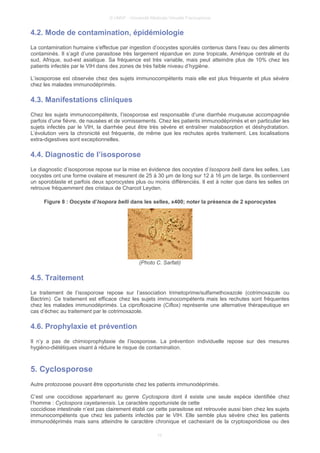 © UMVF - Université Médicale Virtuelle Francophone
4.2. Mode de contamination, épidémiologie
La contamination humaine s’effectue par ingestion d’oocystes sporulés contenus dans l’eau ou des aliments
contaminés. Il s’agit d’une parasitose très largement répandue en zone tropicale, Amérique centrale et du
sud, Afrique, sud-est asiatique. Sa fréquence est très variable, mais peut atteindre plus de 10% chez les
patients infectés par le VIH dans des zones de très faible niveau d’hygiène.
L’isosporose est observée chez des sujets immunocompétents mais elle est plus fréquente et plus sévère
chez les malades immunodéprimés.
4.3. Manifestations cliniques
Chez les sujets immunocompétents, l’isosporose est responsable d’une diarrhée muqueuse accompagnée
parfois d’une fièvre, de nausées et de vomissements. Chez les patients immunodéprimés et en particulier les
sujets infectés par le VIH, la diarrhée peut être très sévère et entraîner malabsorption et déshydratation.
L’évolution vers la chronicité est fréquente, de même que les rechutes après traitement. Les localisations
extra-digestives sont exceptionnelles.
4.4. Diagnostic de l’isosporose
Le diagnostic d’isosporose repose sur la mise en évidence des oocystes d’Isospora belli dans les selles. Les
oocystes ont une forme ovalaire et mesurent de 25 à 30 µm de long sur 12 à 16 µm de large. Ils contiennent
un sporoblaste et parfois deux sporocystes plus ou moins différenciés. Il est à noter que dans les selles on
retrouve fréquemment des cristaux de Charcot Leyden.
Figure 8 : Oocyste d’Isopora belli dans les selles, x400; noter la présence de 2 sporocystes
(Photo C. Sarfati)
4.5. Traitement
Le traitement de l’isosporose repose sur l’association trimetoprime/sulfamethoxazole (cotrimoxazole ou
Bactrim). Ce traitement est efficace chez les sujets immunocompétents mais les rechutes sont fréquentes
chez les malades immunodéprimés. La ciprofloxacine (Ciflox) représente une alternative thérapeutique en
cas d’échec au traitement par le cotrimoxazole.
4.6. Prophylaxie et prévention
Il n’y a pas de chimioprophylaxie de l’isosporose. La prévention individuelle repose sur des mesures
hygièno-diététiques visant à réduire le risque de contamination.
5. Cyclosporose
Autre protozoose pouvant être opportuniste chez les patients immunodéprimés.
C’est une coccidiose appartenant au genre Cyclospora dont il existe une seule espèce identifiée chez
l’homme : Cyclospora cayetanensis. Le caractère opportuniste de cette
coccidiose intestinale n’est pas clairement établi car cette parasitose est retrouvée aussi bien chez les sujets
immunocompétents que chez les patients infectés par le VIH. Elle semble plus sévère chez les patients
immunodéprimés mais sans atteindre le caractère chronique et cachexiant de la cryptosporidiose ou des
10
 