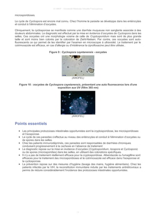 © UMVF - Université Médicale Virtuelle Francophone
microsporidioses.
Le cycle de Cyclospora est encore mal connu. Chez l’homme le parasite se développe dans les entérocytes
et conduit à l’élimination d’oocystes.
Cliniquement, la cyclosporose se manifeste comme une diarrhée muqueuse non sanglante associée à des
douleurs abdominales. Le diagnostic est effectué par la mise en évidence d’oocystes de Cyclospora dans les
selles. Ces oocystes ont une morphologie voisine de celle de Cryptosporidium mais sont de plus grande
taille et sont moins bien colorés par la coloration de Ziehl-Nielsen. Par contre, ces oocystes sont auto-
fluorescents ce qui permet de les identifier par l’examen en microscopie à ultraviolet. Le traitement par le
cotrimoxazole est efficace, en cas d'allergie ou d'intolérance la ciprofloxacine peut être utilisée..
Figure 9 : Cyclospora cayetanensis - oocystes
(ANOFEL)
Figure 10 : oocystes de Cyclospora cayetanensis, présentant une auto fluorescence lors d'une
exposition aux UV (filtre 365 nm)
(ANOFEL)
Points essentiels
● Les principales protozooses intestinales opportunistes sont la cryptosporidiose, les microsporidioses
et l’isosporose.
● Le cycle de ces parasites s’effectue au niveau des entérocytes et conduit à l’élimination d’oocystes ou
de spores dans les selles.
● Chez les patients immunodéprimés, ces parasites sont responsables de diarrhées chroniques
conduisant progressivement à la cachexie en l’absence de traitement
● Le diagnostic repose sur la mise en évidence d’oocystes (Cryptosporidium, Isospora et Cyclospora)
ou de spores (microsporidies) dans les selles, en utilisant des colorations spécifiques.
● Il n’y a pas de traitement réellement efficace pour la cryptosporidiose. Albendazole ou fumagilline sont
efficaces pour le traitement des microsporidioses et le cotrimoxazole est efficace dans l’isosporose et
la cyclosporose.
● La prévention repose sur des mesures d’hygiène (lavage des mains, hygiène alimentaire). Chez les
patients infectés par le VIH, la reconstitution immunitaire induite par les traitements antirétroviraux a
permis de réduire considérablement l’incidence des protozooses intestinales opportunistes.
11
 