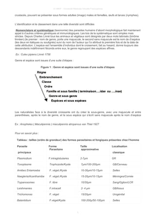 © UMVF - Université Médicale Virtuelle Francophone
crustacés, pouvant se présenter sous formes adultes (imago) males et femelles, œufs et larves (nymphes).
L’identification et le classement dans une telle diversité sont difficiles
Nomenclature et systématique (taxonomie) des parasites humains d’abord morphologique fait maintenant
appel à d’autres critères génétiques et immunologiques. Les lois de la systématique sont simples mais
strictes. Depuis Charles Linné tous les animaux et végétaux sont désignés par deux mots latinisés (binôme
linnéen) (le premier : nom de genre, porte une majuscule, le second sans majuscule est le nom de d’espèce
(les deux en italiques ou soulignés) suivi du nom de l’auteur qui l’a attribué la première fois et de la date de
cette attribution. L’espèce est l’ensemble d’individus dont le croisement, fait au hasard, donne toujours des
descendants indéfiniment féconds entre eux, le genre regroupant des espèces affines.
Ex : Culex pipiens Linné 1758
Genre et espèce sont issues d’une suite d’étapes :
Figure 1 : Genre et espèce sont issues d’une suite d’étapes
Les naturalistes face à la diversité croissante ont du créer le sous-genre, avec une majuscule et entre
parenthèses, après le nom de genre, et la sous espèce qui s’écrit sans majuscule après le nom d’espèce
Ex : Anopheles ( Maculipennia ) maculipennis atroparvus van Thiel 1927
Pour en savoir plus :
Tableau : tailles (ordre de grandeur) des formes parasitaires et fongiques présentes chez l’homme
Parasite
principaux
Forme
Parasitaire
Taille
approximative
Localisation
classique
Plasmodium F.intraglobulaires 2-7µm GR
Toxoplasme Trophozoite/Kyste 7µm/100-200µm GB/Cerveau
Amibes Entamoeba F. véget./Kyste 10-30µm/10-15µm Selles
Naegleria/Acanthamibe F. véget./Kyste 15-20µm/10-15µm Méninges/Cornée
Trypanosomes F. libre 10/30µm Sang/Gglion/LCR
Leishmanies F.intracell 2- 4 µm GB/tissus
Trichomonas F. véget 15/20µm Urogénital
Balantidium F.véget/Kyste 100-200µ/50-100µm Selles
5
 