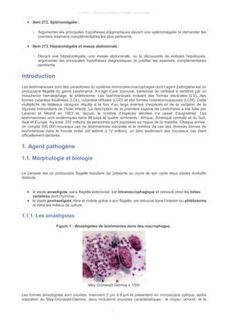 © UMVF - Université Médicale Virtuelle Francophone
● Item 272. Splénomégalie :
○ Argumenter les principales hypothèses diagnostiques devant une splénomégalie et demander les
premiers examens complémentaires les plus pertinents.
● Item 273. Hépatomégalie et masse abdominale :
○ Devant une hépatomégalie, une masse abdominale, ou la découverte de nodules hépatiques,
argumenter les principales hypothèses diagnostiques et justifier les examens complémentaires
pertinents.
Introduction
Les leishmanioses sont des parasitoses du système monocytes-macrophages dont l’agent pathogène est un
protozoaire flagellé du genre Leishmania. Il s’agit d’une zoonose, transmise de vertébré à vertébré par un
moucheron hématophage, le phlébotome. Les leishmanioses incluent des formes viscérales (LV), des
formes cutanées localisées (LCL), cutanées diffuses (LCD) et des formes cutanéomuqueuses (LCM). Cette
multiplicité de tableaux cliniques résulte à la fois d’un large éventail d’espèces et de la variation de la
réponse immunitaire de l’hôte infecté. La description de la première espèce de Leishmania a été faite par
Laveran et Mesnil en 1903 et, depuis, le nombre d’espèces décrites n’a cessé d’augmenter. Les
leishmanioses sont endémiques dans 88 pays et quatre continents : Afrique, Amérique centrale et du Sud,
Asie et Europe. Au total, 370 millions de personnes sont exposées au risque de la maladie. Chaque année,
on compte 500 000 nouveaux cas de leishmaniose viscérale et le nombre de cas des diverses formes de
leishmaniose dans le monde entier est estimé à 12 millions, un tiers seulement des nouveaux cas étant
officiellement déclarés.
1. Agent pathogène
1.1. Morphologie et biologie
Le parasite est un protozoaire flagellé tissulaire qui présente au cours de son cycle deux stades évolutifs
distincts :
● le stade amastigote, sans flagelle extériorisé, est intramacrophagique et retrouvé chez les hôtes
vertébrés dont l’homme ;
● le stade promastigote, libre et mobile grâce à son flagelle, est retrouvé dans l’intestin du phlébotome
et dans les milieux de culture.
1.1.1. Les amastigotes
Figure 1 : Amastigotes de leishmanies dans des macrophages.
May Grünwald Giemsa x 1000
Les formes amastigotes sont ovoïdes, mesurent 2 µm à 6 µm et présentent en microscopie optique, après
coloration au May-Grünwald-Giemsa, deux inclusions pourpres caractéristiques : le noyau, arrondi, et le
4
 