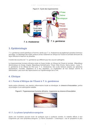 © UMVF - Université Médicale Virtuelle Francophone
Figure 5 : Cycle des trypanosomes
3. Epidémiologie
T. b. gambiense serait spécifique à l’homme, tandis que T. b. rhodesiense est également parasite d’animaux
sauvages. Le dépistage des sujets porteurs et leur traitement en Afrique de l’Ouest et Centrale diminuent de
façon efficace le réservoir de parasites.
Il existe des souches de T. b. gambiense qui diffèrent pour leur pouvoir pathogène.
La trypanosomose humaine africaine existe en foyers limités, en Afrique de l’Ouest et centrale (République
démocratique du Congo, Angola, République Centrafricaine, Tchad, Côte d’Ivoire, Sierra Léone…) pour T.
b. gambiense et en Afrique de l’Est pour T. b. rhodesiense, liés à des facteurs propres aux glossines
(température, humidité, végétation) et à leur répartition. La modification de leur biotope comme la
déforestation, peut avoir des répercussions sur l’épidémiologie de la THA.
4. Clinique
4.1. Forme d’Afrique de l’Ouest à T. b. gambiense
Après piqûre infectante, une réaction inflammatoire locale se développe, le chancre d’inoculation, parfois
accompagné d’une adénopathie satellite.
Figure 6 : Trypanosomose humaine africaine - trypanome ou chancre d'inoculation
4.1.1. La phase lymphatico-sanguine
Après une incubation pouvant durer de quelques jours à quelques années, la maladie diffuse à tout
l’organisme par voie lymphatico-sanguine. La fièvre d’évolution « anarchique » est le symptôme le plus
6
 