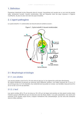 © UMVF - Université Médicale Virtuelle Francophone
1. Définition
Parasitose intestinale la plus fréquente dans le monde, l’ascaridiose est causée par un ver rond de grande
taille, strictement humain, Ascaris lumbricoides. Elle est fréquente dans les pays tropicaux à hygiene
insuffisante, de plus en plus rare dans les pays tempérés.
2. L'agent pathogène
Le cycle évolutif d’ A. lumbricoides est résumé dans le schéma suivant :
Figure 1 : Cycle évolutif d’ Ascaris lumbricoides
2.1. Morphologie et biologie
2.1.1. Les adultes
Les ascaris adultes vivent de 6 à 18 mois dans le jéjunum où ils ingèrent les particules alimentaires.
Ils migrent facilement et peuvent se retrouver dans différents viscères. Les males mesurent de 12 cm à 17
cm de long et de 2 à 4 mm diamètre; leur extrémité est recourbée en crosse. Les femelles mesurent de 20 à
25 cm et de 3 à 6 mm de diamètre.
2.1.2. L’œuf
Les œufs ovoïdes (60 à 70 μm de long sur 40 à 50 μm de large) sont pondus en très grand nombre dans
l’intestin (jusqu’à 200.000 par jour) et évacués avec les fèces (stade 1 du cycle parasitaire). Ces œufs sont
entourés d’une double coque brune, d’aspect mamelonné très caractéristique, qui les rend très résistants
dans le milieu extérieur.
4
 