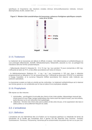 © UMVF - Université Médicale Virtuelle Francophone
spécifiques et l’importance des réactions croisées diminue (immunofluorescence indirecte, immuno-
électrophorèse, ELISA, western-blot…).
Figure 5 : Western blot caractéristique de toxocarose, présence d'antigènes spécifiques compris
entre 24 et 35 kDa
2.1.5. Traitement
Le traitement de la toxocarose est délicat et difficile à évaluer. Anti-inflammatoires et anthelminthiques en
cure prolongée (Albendazole, Zentel®, diéthylcarbamazine, Notezine®), associés ou non, se partagent les
indications dans les formes symptomatiques.
- l'albendazole (Zentel ®, Eskazole ®) : 10 à 15 mg / kg / jour pendant 15 jours (comprimés à 400 mg).
L'efficacité est alors de 76 %, et les effets secondaires sont rares et mineurs.
- la diéthylcarbamazine (Notézine ®) : 4 mg / kg / jour (comprimés à 100 mg), dose à atteindre
progressivement en débutant à 1/4; de comprimé par jour. L'efficacité se situe entre 70 et 92 %.La restriction
à l'usage hospitalier, et la survenue fréquente d'effets secondaires font réserver cette molécule aux
praticiens spécialisés.
La toxocarose oculaire se traite en priorité par les corticoïdes. Le traitement anthelminthique est à réserver
aux formes graves ou non améliorées par la mise en place d'une prophylaxie adaptée.
2.1.6. Prophylaxie
Elle repose sur des mesures :
1. individuelles : vermifugation tri-annuelle des chiens et des chats adultes, déparasitage mensuel des
chiots jusqu'à 6 mois d'âge, lavage systématique des mains avant les repas et aussi, pour les enfants,
après des jeux sur le sol, prévention de la géophagie.
2. collectives : l'éviction des chiens des parcs publics et des aires de jeux, et la suppression des bacs à
sable publics ou renouvellement fréquent du sable.
2.2. L'anisakiose
2.2.1. Définition
L’anisakiose est une helminthose liée à la fixation sur la muqueuse gastrique ou intestinale de larves de
nématodes de la famille des Anisakidae dont 4 genres ont été observés chez l’homme : Anisakis,
Contracaecum, Terranova, Phocanema), transmise par la consommation de poisson de mer cru ou peu cuit.
6
 
