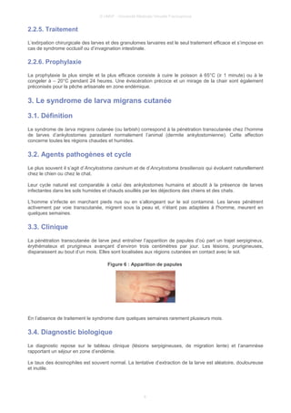 © UMVF - Université Médicale Virtuelle Francophone
2.2.5. Traitement
L’extirpation chirurgicale des larves et des granulomes larvaires est le seul traitement efficace et s’impose en
cas de syndrome occlusif ou d’invagination intestinale.
2.2.6. Prophylaxie
La prophylaxie la plus simple et la plus efficace consiste à cuire le poisson à 65°C (≥ 1 minute) ou à le
congeler à – 20°C pendant 24 heures. Une éviscération précoce et un mirage de la chair sont également
préconisés pour la pêche artisanale en zone endémique.
3. Le syndrome de larva migrans cutanée
3.1. Définition
Le syndrome de larva migrans cutanée (ou larbish) correspond à la pénétration transcutanée chez l’homme
de larves d’ankylostomes parasitant normalement l’animal (dermite ankylostomienne). Cette affection
concerne toutes les régions chaudes et humides.
3.2. Agents pathogènes et cycle
Le plus souvent il s’agit d’Ancylostoma caninum et de d’Ancylostoma brasiliensis qui évoluent naturellement
chez le chien ou chez le chat.
Leur cycle naturel est comparable à celui des ankylostomes humains et aboutit à la présence de larves
infectantes dans les sols humides et chauds souillés par les déjections des chiens et des chats.
L’homme s’infecte en marchant pieds nus ou en s’allongeant sur le sol contaminé. Les larves pénètrent
activement par voie transcutanée, migrent sous la peau et, n'étant pas adaptées à l'homme, meurent en
quelques semaines.
3.3. Clinique
La pénétration transcutanée de larve peut entraîner l’apparition de papules d’où part un trajet serpigineux,
érythémateux et prurigineux avançant d’environ trois centimètres par jour. Les lésions, prurigineuses,
disparaissent au bout d’un mois. Elles sont localisées aux régions cutanées en contact avec le sol.
Figure 6 : Apparition de papules
En l’absence de traitement le syndrome dure quelques semaines rarement plusieurs mois.
3.4. Diagnostic biologique
Le diagnostic repose sur le tableau clinique (lésions serpigineuses, de migration lente) et l’anamnèse
rapportant un séjour en zone d’endémie.
Le taux des éosinophiles est souvent normal. La tentative d’extraction de la larve est aléatoire, douloureuse
et inutile.
8
 