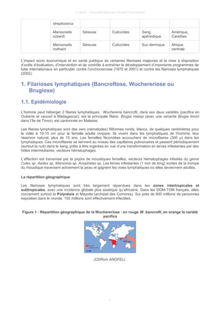 © UMVF - Université Médicale Virtuelle Francophone
streptocerca
Mansonella
ozzardi
Séreuse Culicoïdes Sang,
apériodique
Amérique,
Caraïbes
Mansonella
rodhaini
Séreuse Culicoïdes Suc dermique Afrique
centrale
L’impact socio économique et en santé publique de certaines filarioses majeures et la mise à disposition
d’outils d’évaluation, d’intervention et de contrôle à entraîner le développement d’importants programmes de
lutte internationaux en particulier contre l’onchocercose (1975 et 2001) et contre les filarioses lymphatiques
(2002).
1. Filarioses lymphatiques (Bancroftose, Wuchereriose ou
Brugiose)
1.1. Epidémiologie
L’homme peut héberger 2 filaires lymphatiques : Wuchereria bancrofti, dans ses deux variétés (pacifica en
Océanie et vauceli à Madagascar), est la principale filaire. Brugia malayi (avec une variante Brugia timori
dans l’île de Timor), est cantonnée en Malaisie.
Les filaires lymphatiques sont des vers (nématodes) filiformes ronds, blancs, de quelques centimètres pour
le mâle à 10-15 cm pour la femelle adulte vivipare. Ils vivent dans les lymphatiques de l’homme, leur
réservoir naturel, plus de 15 ans. Les femelles fécondées accouchent de microfilaires (300 μ) dans les
lymphatiques. Ces microfilaires se tiennent au niveau des capillaires pulmonaires et passent périodiquement
(surtout la nuit) dans le sang, prêts à être ingérées en vue d’une transformation en larves infestantes par des
hôtes intermédiaires, vecteurs hématophages.
L’affection est transmise par la piqûre de moustiques femelles, vecteurs hématophages infestés du genre
Culex sp, Aedes sp, Mansonia sp, Anopheles sp. Les larves infestantes (1 mm de long) sorties de la trompe
du moustique traversent activement la peau et gagnent les voies lymphatiques où elles deviennent adultes.
La répartition géographique
Les filarioses lymphatiques sont très largement répandues dans les zones intertropicales et
subtropicales, avec une incidence globale plus asiatique qu’africaine. Dans les DOM-TOM français, elles
concernent surtout la Polynésie et Mayotte (archipel des Comores). Sur près de 900 millions de personnes
exposées dans le monde, 150 millions sont effectivement infectées.
Figure 1 : Répartition géographique de la Wuchereriose : en rouge W. bancrofti, en orange la variété
pacifica
(CDRom ANOFEL)
5
 