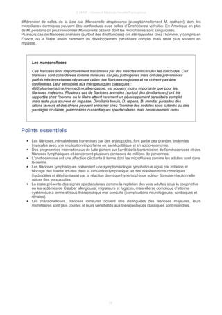 © UMVF - Université Médicale Virtuelle Francophone
différencier de celles de la Loa loa, Mansonella streptocerca (exceptionnellement M. rodhaini), dont les
microfilaires dermiques peuvent être confondues avec celles d’Onchocerca volvulus. En Amérique en plus
de M. perstans on peut rencontrer Mansonella ozzardi dont les microfilaires sont sanguicoles.
Plusieurs cas de filarioses animales (surtout des dirofilarioses) ont été rapportés chez l’homme, y compris en
France, ou la filaire atteint rarement un développement parasitaire complet mais reste plus souvent en
impasse.
Les mansonelloses
Ces filarioses sont majoritairement transmises par des insectes minuscules les culicoïdes. Ces
filarioses sont considérées comme mineures car peu pathogènes mais ont des prévalences
parfois très importantes dépassant celles des filarioses majeures et ne doivent pas être
confondues. Leur sensibilité aux thérapeutiques classiques :
diéthylcarbamazine,ivermectine,albendazole, est souvent moins importante que pour les
filarioses majeures. Plusieurs cas de filarioses animales (surtout des dirofilarioses) ont été
rapportés chez l’homme ou la filaire atteint rarement un développement parasitaire complet
mais reste plus souvent en impasse. Dirofilaria tenuis, D. repens, D. immitis, parasites des
ratons laveurs et des chiens peuvent entraîner chez l’homme des nodules sous cutanés ou des
passages oculaires, pulmonaires ou cardiaques spectaculaires mais heureusement rares.
Points essentiels
● Les filarioses, nématodoses transmises par des arthropodes, font partie des grandes endémies
tropicales avec une implication importante en santé publique et en socio-économie.
● Des programmes internationaux de lutte portent sur l’arrêt de la transmission de l’onchocercose et des
filarioses lymphatiques et concernent plusieurs centaines de millions de personnes.
● L’onchocercose est une affection cécitante à terme dont les microfilaires comme les adultes sont dans
le derme.
● Les filarioses lymphatiques présentent une symptomatologie lymphatique aiguë par irritation et
blocage des filaires adultes dans la circulation lymphatique, et des manifestations chroniques
(hydrocèles et éléphantiasis) par la réaction dermique hypertrophique scléro- fibreuse réactionnelle
autour des vers adultes.
● La loase présente des signes spectaculaires comme la reptation des vers adultes sous la conjonctive
ou les œdèmes de Calabar allergiques, migrateurs et fugaces, mais elle se complique d’atteinte
systémique à terme et sous thérapeutique mal conduite (complications neurologiques, cardiaques et
rénales).
● Les mansonelloses, filarioses mineures doivent être distinguées des filarioses majeures, leurs
microfilaires sont plus courtes et leurs sensibilités aux thérapeutiques classiques sont moindres.
22
 