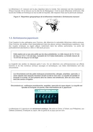 © UMVF - Université Médicale Virtuelle Francophone
La bilharziose à S. mansoni est la plus répandue dans le monde. Son extension est très importante en
Afrique tropicale. On la retrouve sur la côte Est de Madagascar. C’est la seule bilharziose américaine. Elle
touche les Antilles et l’Amérique du Sud où elle fut importée. Elle respecte l’Asie sauf la péninsule arabique.
Figure 4 : Répartition géographique de la bilharziose intestinale à Schistosoma mansoni
1.3. Schistosoma japonicum
C’est l’espèce la plus pathogène pour l’homme, elle détermine la redoutable bilharziose artério-veineuse.
Chez l’homme, les adultes vivent essentiellement dans les plexus veineux mésentériques supérieurs, mais
des couples erratiques se logent ailleurs notamment dans les artères pulmonaires. La ponte est
particulièrement abondante (2. 000 à 3. 000 œufs par jour).
Cette espèce est un peu plus petite que les deux précédentes. Le mâle mesure de 9 à 12 mm
de long sur 0,5 à 1 mm de large, il possède de 6 à 8 lobes testiculaires. La femelle mesure de
12 à15 mm de long sur 0,3 de large.
La longévité des adultes ne dépasse guère 5 ans. Ce ver détermine une anthropozoonose qui affecte
l’homme et de très nombreux animaux sauvages et domestiques. Les hôtes intermédiaires sont des
Oncomelania.
Les Oncomelania sont des petits mollusques prosobranches, allongés, amphibies, operculés, à
sexes séparés dans lesquels l’évolution larvaire se fait en trois mois. La coquille est spiralée et
tronquée à la pointe. Ils sont présents dans les rizières mal entretenues, dans les cours d’eau
lents des canaux d’irrigation.
Oncomelania sp : mollusque prosobranche, amphibie, operculé et à sexe séparé. La coquille est
spiralée et tronquée à la pointe, hôte intermédiaire de S. japonicum
La bilharziose à S. japonicum est strictement asiatique. Elle sévit en Chine, à Taïwan, aux Philippines, aux
Célèbes (Sulawesi). Eradiquée au Japon, elle ne garde de ce pays que son nom.
7
 
