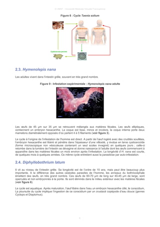 © UMVF - Université Médicale Virtuelle Francophone
Figure 8 : Cycle Taenia solium
2.3. Hymenolepis nana
Les adultes vivent dans l’intestin grêle, souvent en très grand nombre.
Figure 9 : Infestation expérimentale : Hymenolepis nana adulte
Les œufs de 45 µm sur 35 µm se retrouvent mélangés aux matières fécales. Les œufs elliptiques,
contiennent un embryon hexacanthe. La coque est lisse, mince et incolore, la coque interne porte deux
mamelons diamétralement opposés d’où partent 4 à 5 filaments (voir figure 3).
Le cycle à l’origine de l’infestation de l’homme est direct. A partir de l’œuf ingéré avec des crudités souillées,
l’embryon hexacanthe est libéré et pénètre dans l’épaisseur d’une villosité, y évolue en larve cysticercoïde
(forme microscopique non vésiculeuse contenant un seul scolex invaginé) en quelques jours ; celle-ci
retombe dans la lumière de l’intestin se dévagine et donne naissance à l’adulte dont les œufs commencent à
apparaître dans les matières fécales un mois environ après l’infestation. La longévité d’H. nana est courte,
de quelques mois à quelques années. Ce même cycle entretient aussi la parasitose par auto-infestation.
2.4. Diphyllobothrium latum
Il vit au niveau de l’intestin grêle. Sa longévité est de l’ordre de 10 ans, mais peut être beaucoup plus
importante. A la différence des autres cestodes parasites de l’homme, les anneaux du bothriocéphale
émettent des œufs, en très grand nombre. Ces œufs de 60-70 µm de long sur 40-45 µm de large, sont
operculés et non embryonnés à la ponte. Ils sont éliminés dans le milieu extérieur avec les matières fécales
(voir figure 6).
Le cycle est aquatique. Après maturation, l’œuf libère dans l’eau un embryon hexacanthe cilié, le coracidium,
La poursuite du cycle implique l’ingestion de ce coracidium par un crustacé copépode d’eau douce (genres
Cyclops et Diaptomus).
8
 