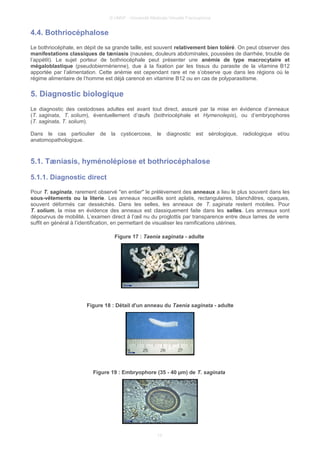 © UMVF - Université Médicale Virtuelle Francophone
4.4. Bothriocéphalose
Le bothriocéphale, en dépit de sa grande taille, est souvent relativement bien toléré. On peut observer des
manifestations classiques de tæniasis (nausées, douleurs abdominales, poussées de diarrhée, trouble de
l’appétit). Le sujet porteur de bothriocéphale peut présenter une anémie de type macrocytaire et
mégaloblastique (pseudobiermérienne), due à la fixation par les tissus du parasite de la vitamine B12
apportée par l’alimentation. Cette anémie est cependant rare et ne s’observe que dans les régions où le
régime alimentaire de l’homme est déjà carencé en vitamine B12 ou en cas de polyparasitisme.
5. Diagnostic biologique
Le diagnostic des cestodoses adultes est avant tout direct, assuré par la mise en évidence d’anneaux
(T. saginata, T. solium), éventuellement d’œufs (bothriocéphale et Hymenolepis), ou d’embryophores
(T. saginata, T. solium).
Dans le cas particulier de la cysticercose, le diagnostic est sérologique, radiologique et/ou
anatomopathologique.
5.1. Tæniasis, hyménolépiose et bothriocéphalose
5.1.1. Diagnostic direct
Pour T. saginata, rarement observé "en entier" le prélèvement des anneaux a lieu le plus souvent dans les
sous-vêtements ou la literie. Les anneaux recueillis sont aplatis, rectangulaires, blanchâtres, opaques,
souvent déformés car desséchés. Dans les selles, les anneaux de T. saginata restent mobiles. Pour
T. solium, la mise en évidence des anneaux est classiquement faite dans les selles. Les anneaux sont
dépourvus de mobilité. L’examen direct à l’œil nu du proglottis par transparence entre deux lames de verre
suffit en général à l’identification, en permettant de visualiser les ramifications utérines.
Figure 17 : Taenia saginata - adulte
Figure 18 : Détail d'un anneau du Taenia saginata - adulte
Figure 19 : Embryophore (35 - 40 µm) de T. saginata
13
 