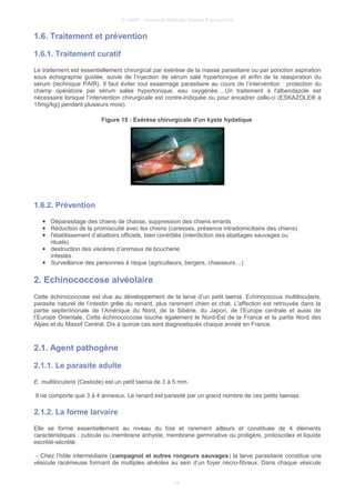 © UMVF - Université Médicale Virtuelle Francophone
1.6. Traitement et prévention
1.6.1. Traitement curatif
Le traitement est essentiellement chirurgical par exérèse de la masse parasitaire ou par ponction aspiration
sous échographie guidée, suivie de l’injection de sérum salé hypertonique et enfin de la réaspiration du
sérum (technique PAIR). Il faut éviter tout essaimage parasitaire au cours de l’intervention : protection du
champ opératoire par sérum salée hypertonique, eau oxygénée….Un traitement à l'albendazole est
nécessaire lorsque l’intervention chirurgicale est contre-indiquée ou pour encadrer celle-ci (ESKAZOLE® à
15mg/kg/j pendant plusieurs mois).
Figure 15 : Exérèse chirurgicale d'un kyste hydatique
1.6.2. Prévention
● Déparasitage des chiens de chasse, suppression des chiens errants
● Réduction de la promiscuité avec les chiens (caresses, présence intradomiciliaire des chiens)
● l'établissement d’abattoirs officiels, bien contrôlés (interdiction des abattages sauvages ou
rituels)
● destruction des viscères d’animaux de boucherie
infestés
● Surveillance des personnes à risque (agriculteurs, bergers, chasseurs…)
2. Echinococcose alvéolaire
Cette échinococcose est due au développement de la larve d’un petit taenia, Echinococcus multilocularis,
parasite naturel de l’intestin grêle du renard, plus rarement chien et chat. L'affection est retrouvée dans la
partie septentrionale de l’Amérique du Nord, de la Sibérie, du Japon, de l’Europe centrale et aussi de
l’Europe Orientale. Cette échinococcose touche également le Nord-Est de la France et la partie Nord des
Alpes et du Massif Central. Dix à quinze cas sont diagnostiqués chaque année en France.
2.1. Agent pathogène
2.1.1. Le parasite adulte
E. multilocularis (Cestode) est un petit taenia de 3 à 5 mm.
Il ne comporte que 3 à 4 anneaux. Le renard est parasité par un grand nombre de ces petits taenias.
2.1.2. La forme larvaire
Elle se forme essentiellement au niveau du foie et rarement ailleurs et constituée de 4 éléments
caractéristiques : cuticule ou membrane anhyste, membrane germinative ou proligère, protoscolex et liquide
excrété-sécrété.
- Chez l’hôte intermédiaire (campagnol et autres rongeurs sauvages) la larve parasitaire constitue une
vésicule racémeuse formant de multiples alvéoles au sein d’un foyer nécro-fibreux. Dans chaque vésicule
10
 