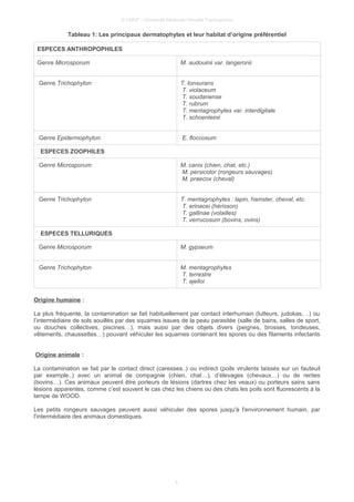© UMVF - Université Médicale Virtuelle Francophone
Tableau 1: Les principaux dermatophytes et leur habitat d’origine préférentiel
ESPECES ANTHROPOPHILES
Genre Microsporum M. audouinii var. langeronii
Genre Trichophyton T. tonsurans
T. violaceum
T. soudanense
T. rubrum
T. mentagrophytes var. interdigitale
T. schoenleinii
Genre Epidermophyton E. floccosum
ESPECES ZOOPHILES
Genre Microsporum M. canis (chien, chat, etc.)
M. persicolor (rongeurs sauvages)
M. praecox (cheval)
Genre Trichophyton T. mentagrophytes : lapin, hamster, cheval, etc.
T. erinacei (hérisson)
T. gallinae (volailles)
T. verrucosum (bovins, ovins)
ESPECES TELLURIQUES
Genre Microsporum M. gypseum
Genre Trichophyton M. mentagrophytes
T. terrestre
T. ajelloi
Origine humaine :
La plus fréquente, la contamination se fait habituellement par contact interhumain (lutteurs, judokas, ..) ou
l’intermédiaire de sols souillés par des squames issues de la peau parasitée (salle de bains, salles de sport,
ou douches collectives, piscines…), mais aussi par des objets divers (peignes, brosses, tondeuses,
vêtements, chaussettes…) pouvant véhiculer les squames contenant les spores ou des filaments infectants
Origine animale :
La contamination se fait par le contact direct (caresses..) ou indirect (poils virulents laissés sur un fauteuil
par exemple..) avec un animal de compagnie (chien, chat…), d’élevages (chevaux…) ou de rentes
(bovins…). Ces animaux peuvent être porteurs de lésions (dartres chez les veaux) ou porteurs sains sans
lésions apparentes, comme c’est souvent le cas chez les chiens ou des chats les poils sont fluorescents à la
lampe de WOOD.
Les petits rongeurs sauvages peuvent aussi véhiculer des spores jusqu'à l'environnement humain, par
l'intermédiaire des animaux domestiques.
4
 
