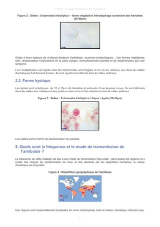 © UMVF - Université Médicale Virtuelle Francophone
Figure 2 : Selles : Entamoeba histolytica – forme végétative hématophage contenant des hématies
(20-40µm)
Grâce à leurs facteurs de virulence (facteurs d'adhésion, enzymes protéolytiques…) les formes végétatives
sont responsables d'ulcérations de la paroi colique, d'envahissement pariétal et de dissémination par voie
sanguine.
Leur multiplication est rapide mais les trophozoïtes sont fragiles et on ne les retrouve que dans les selles
diarrhéiques fraîchement émises. Ils sont rapidement détruits dans le milieu extérieur.
2.2. Forme kystique
Les kystes sont sphériques, de 10 à 15µm de diamètre et entourés d'une épaisse coque. Ils sont éliminés
dans les selles des malades et des porteurs sains et sont très résistants dans le milieu extérieur.
Figure 3 : Selles : Entamoeba histolytica / dispar - kyste (10-15µm)
Les kystes sont la forme de dissémination du parasite.
3. Quels sont la fréquence et le mode de transmission de
l'amibiase ?
La fréquence de cette maladie est liée à son mode de transmission féco-orale : dans toutes les régions où il
existe des risques de contamination de l'eau et des aliments par les déjections humaines, le risque
d'amibiase est important.
Figure 4 : Répartition géographique de l'amibiase
Ces régions sont essentiellement localisées en zone intertropicale mais le facteur climatique intervient peu.
5
 