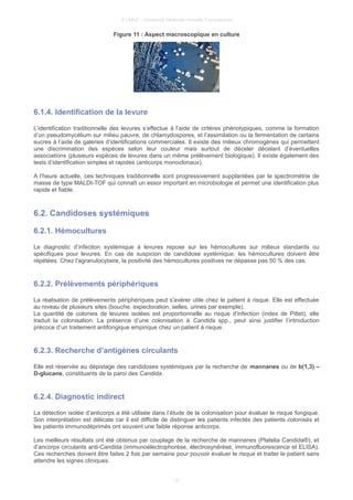 © UMVF - Université Médicale Virtuelle Francophone
Figure 11 : Aspect macroscopique en culture
6.1.4. Identification de la levure
L’identification traditionnelle des levures s’effectue à l’aide de critères phénotypiques, comme la formation
d’un pseudomycélium sur milieu pauvre, de chlamydospores, et l’assimilation ou la fermentation de certains
sucres à l’aide de galeries d’identifications commerciales. Il existe des milieux chromogènes qui permettent
une discrimination des espèces selon leur couleur mais surtout de déceler décelant d’éventuelles
associations (plusieurs espèces de levures dans un même prélèvement biologique). Il existe également des
tests d’identification simples et rapides (anticorps monoclonaux).
A l’heure actuelle, ces techniques traditionnelle sont progressivement supplantées par la spectrométrie de
masse de type MALDI-TOF qui connaît un essor important en microbiologie et permet une identification plus
rapide et fiable.
6.2. Candidoses systémiques
6.2.1. Hémocultures
Le diagnostic d’infection systémique à levures repose sur les hémocultures sur milieux standards ou
spécifiques pour levures. En cas de suspicion de candidose systémique, les hémocultures doivent être
répétées. Chez l'agranulocytaire, la positivité des hémocultures positives ne dépasse pas 50 % des cas.
6.2.2. Prélèvements périphériques
La réalisation de prélèvements périphériques peut s'avérer utile chez le patient à risque. Elle est effectuée
au niveau de plusieurs sites (bouche, expectoration, selles, urines par exemple).
La quantité de colonies de levures isolées est proportionnelle au risque d'infection (index de Pittet), elle
traduit la colonisation. La présence d’une colonisation à Candida spp., peut ainsi justifier l’introduction
précoce d’un traitement antifongique empirique chez un patient à risque.
6.2.3. Recherche d’antigènes circulants
Elle est réservée au dépistage des candidoses systémiques par la recherche de mannanes ou de b(1,3) –
D-glucane, constituants de la paroi des Candida.
6.2.4. Diagnostic indirect
La détection isolée d’anticorps a été utilisée dans l’étude de la colonisation pour évaluer le risque fongique.
Son interprétation est délicate car il est difficile de distinguer les patients infectés des patients colonisés et
les patients immunodéprimés ont souvent une faible réponse anticorps.
Les meilleurs résultats ont été obtenus par couplage de la recherche de mannanes (Platelia Candida®), et
d’ancorps circulants anti-Candida (immunoélectrophorèse, électrosynérèse, immunofluorescence et ELISA).
Ces recherches doivent être faites 2 fois par semaine pour pouvoir évaluer le risque et traiter le patient sans
attendre les signes cliniques.
13
 