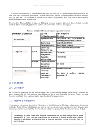 © UMVF - Université Médicale Virtuelle Francophone
2. la passive, qui soit laisse le parasite s’expulser seul, soit recouvre le furoncle de plusieurs épaisseurs de
tulle gras avec surveillance quotidienne ; la larve cherchant à respirer va se retrouver dans le tulle. Pour le
principe, dans les 2 cas, appliquer un désinfectant et mettre un pansement léger pour éviter une surinfection
et vérifier la vaccination antitétanique.
L’ivermectine (Stromectol®) à la dose de 200µg/kg, en prise unique a donné de bons résultats mais la
conduite à tenir en cas d’hypodermose oculaire est évidemment l’exérèse chirurgicale.
Tableau récapitulatif des principales myiases humaines
2. Tungoses
2.1. Définition
La tungose ou parasitose par une « puce chique » est une parasitose bénigne, généralement localisée au
pied, occasionnée par l’enkystement dans l’épiderme d’une puce fécondée du genre Tunga. Les cas
humains sont liés à deux espèces, la plus répandue étant Tunga penetrans.
2.2. Agents pathogènes
T. penetrans est connue du nord de l’Argentine et du Chili jusqu’au Mexique, à l’exception des zones
d’altitude. Toute l’Afrique intertropicale est atteinte mais la prévalence est variable d’un pays à l’autre. Les
cas européens sont tous importés. T. trimamillata n’est connue que du Nord-Ouest de l’Amérique du Sud.
Les espèces du genre Tunga sont, en partie, remarquable par leur taille réduite avant le repas
sanguin (0,8 à 1 mm) mais se caractérisent par le fait que la femelle, et elle seule, devient
parasite en s’enkystant entièrement dans la peau de son hôte. Le mal se gorge, mais ne
s'enkyste pas.
11
 