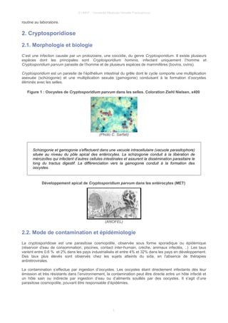 © UMVF - Université Médicale Virtuelle Francophone
routine au laboratoire.
2. Cryptosporidiose
2.1. Morphologie et biologie
C’est une infection causée par un protozoaire, une coccidie, du genre Cryptosporidium. Il existe plusieurs
espèces dont les principales sont Cryptosporidium hominis, infectant uniquement l’homme et
Cryptosporidium parvum parasite de l’homme et de plusieurs espèces de mammifères (bovins, ovins).
Cryptosporidium est un parasite de l’épithélium intestinal du grêle dont le cycle comporte une multiplication
asexuée (schizogonie) et une multiplication sexuée (gamogonie) conduisant à la formation d’oocystes
éliminés avec les selles.
Figure 1 : Oocystes de Cryptosporidium parvum dans les selles. Coloration Ziehl Nielsen, x400
(Photo C. Sarfati)
Schizogonie et gamogonie s’effectuent dans une vacuole intracellulaire (vacuole parasitophore)
située au niveau du pôle apical des entérocytes. La schizogonie conduit à la libération de
mérozoïtes qui infectent d’autres cellules intestinales et assurent la dissémination parasitaire le
long du tractus digestif. La différenciation vers la gamogonie conduit à la formation des
oocystes.
Développement apical de Cryptosporidium parvum dans les entérocytes (MET)
(ANOFEL)
2.2. Mode de contamination et épidémiologie
La cryptosporidiose est une parasitose cosmopolite, observée sous forme sporadique ou épidémique
(réservoir d'eau de consommation, piscines, contact inter-humain, crèche, animaux infectés, ..) .Les taux
varient entre 0,6 % et 2% dans les pays industrialisés et entre 4% et 32% dans les pays en développement.
Des taux plus élevés sont observés chez les sujets atteints du sida, en l'absence de thérapies
antirétrovirales.
La contamination s’effectue par ingestion d’oocystes. Les oocystes étant directement infectants dès leur
émission et très résistants dans l’environnement, la contamination peut être directe entre un hôte infecté et
un hôte sain ou indirecte par ingestion d’eau ou d’aliments souillés par des oocystes. Il s’agit d’une
parasitose cosmopolite, pouvant être responsable d’épidémies.
4
 