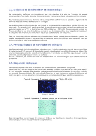© UMVF - Université Médicale Virtuelle Francophone
3.3. Modalités de contamination et épidémiologie
La contamination s’effectue très probablement par voie digestive à la suite de l’ingestion de spores
contenues dans l’eau ou les aliments. Une contamination interhumaine directe est également très probable.
Pour Enterocytozoon bieneusi, l’homme est le principal hôte définitif mais ce parasite a également été
retrouvé chez des animaux domestiques ou sauvages.
La répartition des microsporidioses est mal connue et probablement sous estimée du fait des difficultés de
diagnostic. On considère qu’il s’agit cependant de parasitoses cosmopolites touchant principalement les
patients infectés par le VIH et dont le taux de CD4 est très bas (<50/mm3). Depuis quelques années, en
France, on observe une forte diminution du nombre de cas de microsporidiose chez les patients infectés par
le VIH, grâce à la reconstitution immunitaire induite par les traitements anti-rétroviraux.
Des cas de microsporidioses sévères sont observés chez d’autres patients immunodéprimés : greffés de
moelle, transplantés d’organe. Il est cependant probable que les microsporidioses sont fréquentes chez les
immunocompétents mais sans manifestation clinique.
3.4. Physiopathologie et manifestations cliniques
La physiopathologie des microsporidioses est mal connue ; l’infection des entérocytes par les microsporidies
à tropisme digestif (E. bieneusi , E. intestinalis) conduit à des troubles hydroéléctrolytiques une stéatorrhée
et une malabsorption chez les patients immunodéprimés. Il en résulte une diarrhée aigue évoluant vers la
chronicité, conduisant progressivement à la cachexie
Pour E. intestinalis, on observe souvent une dissémination par voie hématogène avec atteinte rénale et
pulmonaire.
3.5. Diagnostic biologique
Le diagnostic repose sur la mise en évidence des spores dans les prélèvements biologiques.
Les spores sont ovoïdes, et leur recherche dans les selles est difficile compte tenu de leur très petite taille (1
à 3 μm suivant les espèces). Elle nécessite impérativement l’utilisation de techniques de coloration : soit par
un composé fluorescent (Uvitex 2b) colorant spécifiquement la paroi des spores, soit par le trichrome qui
colore les spores en rose. L’examen microscopique ne permet pas de distinguer les différentes espèces.
Figure 4 : Spores de E. bieneusi colorées par l’Uvitex 2B, x1000
(Photo C. Sarfati)
Figure 5 : Spores de E. bieneusi colorée par le trichrome, x1000
Les microsporidies peuvent aussi être mises en évidence sur des biopsies digestives (microsporidioses
intestinales) ou d’autres tissus (infection à Encephalitozoon)
8
 