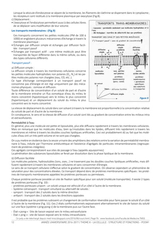 12 ANNÉE UNIVERSITAIRE 2016-2017 / THEME II - LA CELLULE : STRUCTURE ET FONCTIONS - PCEM1
	 Lorsque	la	vésicule	d’endocytose	se	sépare	de	la	membrane,	les	ilaments	de	clathrine	se	dispersent	dans	le	cytoplasme	;	
les	récepteurs	sont	resitués	à	la	membrane	plasmique	par	exocytose	(Fig.8).	
c)	Déplacement	:	
•	L’exocytose	et	l’endocytose	permetent	aussi	à	des	cellules	libres	
de	se	déplacer	sans	modiicaion	de	leur	volume.	
Les transports membranaires : (Fig.9)
	 Ces	transports	concernent	les	peites	molécules	(PM	de	100	à	
1000)	et	englobent	plusieurs	mécanismes	d’échange	à	travers	la	
membrane	plasmique	:	
•	Échanges	par	difusion	simple	et	échanges	par	difusion	facili-
tée	:	transport	passif	
•	Échanges	 par	 transport	 acif	 :	 une	 même	 molécule	 peut	 être	
transportée	de	façon	diférente	dans	la	même	cellule,	ou	dans	
des	types	cellulaires	diférents.	
Transport passif : 
a)	Difusion	simple	:	
La	difusion	simple	à	travers	les	membranes	cellulaires	concerne	
les	peites	molécules	hydrophobes	non	polaires	(O2
,	N2
)	et	les	pe-
ites	molécules	polaires	non	chargées	(eau,	CO,	etc..).	
Ce	 type	 d’échange	 correspondant	 à	 un	 transport	 passif	 ne	
consomme	pas	d’énergie	et	est	régi	uniquement	par	des	méca-
nismes	physiques	:	osmose	et	difusion.	
Toute	diférence	de	concentraion	d’un	soluté	de	part	et	d’autre	
de	la	membrane	entraîne	un	lux	osmoique	d’eau	du	milieu	le	
moins	concentré	(hypotonique)	vers	le	milieu	le	plus	concentré	
(hypertonique)	 et	 un	 déplacement	 du	 soluté	 du	 milieu	 le	 plus	
concentré	vers	le	moins	concentré.	
La	vitesse	de	déplacement	du	soluté	dans	son	solvant	à	travers	la	membrane	est	proporionnelle	à	la	concentraion	relaive	
du	soluté	de	part	et	d’autre	de	la	membrane.	
En	conséquence,	le	sens	et	la	vitesse	de	difusion	d’un	soluté	sont	liés	au	gradient	de	concentraion	entre	les	milieux	intra	
et	extracellulaires.	
Perméabilité à l’eau 
En	général,	plus	une	molécule	est	peite	et	liposoluble,	plus	elle	difusera	rapidement	à	travers	les	membranes	cellulaires.	
Mais	on	remarque	que	les	molécules	d’eau,	bien	qu’insolubles	dans	les	lipides,	difusent	très	rapidement	à	travers	les	
membranes	et	même	à	travers	les	doubles	couches	lipidiques	ariicielles.	Ceci	est	probablement	dû	au	fait	que	les	molé-
cules	d’eau	ont	un	très	peit	volume	et	ne	sont	pas	chargées.	
On	a	pu	metre	en	évidence	dans	la	vessie	urinaire	des	amphibiens	des	relaions	entre	la	variaion	de	perméabilité	membra-
naire	à	l’eau,	induite	par	l’hormone	anidiuréique	et	l’existence	d’agrégats	de	paricules	intramembranaires	(regroupe-
ment	de	protéines	intégrées).	
Ces	agrégats	correspondraient	aux	sites	de	passage	à	l’eau	(appelés	aquoporines)	
La	pénétraion	des	substances	liposolubles	se	ferait	par	dissoluion	dans	la	phase	lipidique	de	la	membrane.	
b)	Difusion	facilitée	
Les	molécules	polaires,	hydrosolubles	(ions,	oses…)	ne	traversent	pas	les	doubles	couches	lipidiques	ariicielles,	mais	dif-
fusent	rapidement	à	travers	les	membranes	cellulaires	et	sans	consommer	d’énergie.	
Le	sens	de	ce	transport	cellulaire	s’efectue	selon	le	gradient	de	concentraion.	On	observe	cependant	un	phénomène	de	
saturaion	pour	des	concentraions	élevées.	Ce	transport	dépend	donc	de	protéines	membranaires	spéciiques	:	les	proté-
ines	de	transports	membranaires	appelées	les	protéines	porteuses	ou	perméases.	
Chaque	protéine	porteuse	possède	un	site	de	ixaion	spéciique	pour	son	soluté	(molécule	transportée).	Il	existe	2	types	
de	protéines	porteuses	(Fig.	10)	:	
-	protéines	porteuses	uniport	:	un	soluté	unique	est	véhiculé	d’un	côté	à	l’autre	de	la	membrane.	
-	Système	cotransport	:	transport	simultané	ou	alternaif	de	solutés	:	
-	symport	:	transport	des	2	solutés	dans	la	même	direcion	
-	aniport	:	transport	des	2	solutés	dans	les	direcions	opposées	
Il	est	probable	que	les	protéines	subissent	un	changement	de	conformaion	réversible	pour	faire	passer	le	soluté	d’un	côté	
à	l’autre	de	la	membrane	(Fig.	11).	Ces	2	états	conformaionnels	exposeraient	alternaivement	le	site	de	liaison	du	soluté	
sur	une	face	(système	«	ping-pong	»)	de	la	membrane	puis	sur	l’autre	face.	
-	État	«	pong	»	:	Site	de	liaison	exposé	vers	le	milieu	extracellulaire
-	Etat	«	ping	»	:	site	de	liaison	exposé	vers	le	milieu	intracellulaire.
	
Figure 9
Ce poly a ete telechargé depuis med-tmss.blogspot.com/2016/08/cours.html | Page Fb : www.facebook.com/Faculte.de.Medecine.TMSS
 