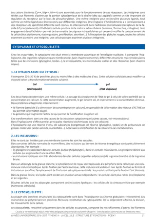 ANNÉE UNIVERSITAIRE 2016-2017 / THEME II - LA CELLULE : STRUCTURE ET FONCTIONS - PCEM1 21
Les	caions	bivalents	(Ca++,	Mg++,	Mn++)	sont	esseniels	pour	le	foncionnement	de	ces	récepteurs.	Les	intégrines	sont	
reliées	aux	ilaments	d’acine	par	la	porion	cytoplasmique	de	la	chaîne	bêta	qui	apparaît	comme	un	site	important	de	
régulaion	du	récepteur	par	le	biais	de	phosphorylaion.	Une	même	intégrine	peut	reconnaître	plusieurs	ligands,	tout	
comme	un	même	ligand	peut	être	reconnu	par	diférentes	intégrines.	Une	vingtaine	d’hétérodimères	a	b	correspondant	à	
des	récepteurs	de	spéciicité	diférente	sont	connus.	Ils	interviennent	dans	l’adhésion	intercellulaire	(récepteurs	de	la	fa-
mille	b2	principalement)	et	l’adhésion	cellule-protéine	de	la	matrice	extracellulaire	(laminine,	bronecine,	collagène).	Leur	
engagement	dans	l’adhésion	permet	de	transmetre	des	signaux	intracellulaires	qui	peuvent	modiier	le	comportement	de	
la	cellule	(état	staionnaire,	état	migratoire,	proliféraion,	sécréion…).	À	l’excepion	des	globules	rouges,	toutes	les	cellules	
expriment	au	moins	une	intégrine,	une	cellule	pouvant	exprimer	plusieurs	intégrines.	
CYTOPLASME ET CYTOSQUELETTE
Chez	les	eucaryotes,	le	cytoplasme	est	situé	entre	la	membrane	plasmique	et	l’enveloppe	nucléaire.	Il	comporte	l’hya-
loplasme,	des	organites	cytoplasmiques	membranaires	(voir	chapitre	concerné),	diférentes	structures	macromoléculaires	
telles	que	des	inclusions	(glycogène,	lipides…),	le	cytosquelete,	les	microtubules	stables	et	des	ribosomes	(voir	chapitre	
noyau).	
1. LE HYALOPLASME OU CYTOSOL :
Il	comporte	20	à	30	%	de	protéines	plus	ou	moins	liées	à	des	molécules	d’eau.	Cete	soluion	colloïdale	peut	modiier	sa	
viscosité	selon	la	transformaion	réversible	suivante	:	
Sol gel
(état liquide) (état visqueux)
Ces	deux	états	coexistent	dans	une	même	cellule.	Le	passage	du	cytoplasme	de	l’état	de	gel	à	celui	de	sol	est	contrôlé	par	la	
concentraion	en	calcium.	Si	cete	concentraion	augmente,	le	gel	devient	sol,	et	inversement	si	la	concentraion	diminue.	
Deux	protéines	antagonistes	interviennent	:	
•	la	ilamine	(sensible	à	la	diminuion	de	concentraion	en	calcium),	responsable	de	la	formaion	des	réseaux	d’ACTINE	ce	
qui	permet	la	formaion	du	gel.	
•	La	gelsoline	qui	fragmente	l’acine	ce	qui	permet	la	luidiicaion	du	gel	en	sol.	
Ces	transformaions	sont	une	des	causes	de	la	circulaion	cytoplasmique	(autres	causes,	voir	microtubules).	
Dans	l’hyaloplasme	s’efectuent	les	principales	réacions	biochimiques	de	la	vie	cellulaire.	
L’hyaloplasme	est	une	réserve	d’ions,	de	substances	énergéiques	de	réserve	(glycogène,	lipides)	et	de	précurseurs	de	
grosses	molécules	(acides	aminés,	nucléoides…),	nécessaires	à	l’édiicaion	de	la	cellule	et	à	ses	métabolismes.	
2. LES INCLUSIONS :
Elles	ne	sont	pas	limitées	par	une	membrane	comme	les	sont	les	vacuoles.	
Dans	certaines	cellules	normales	de	mammifères,	des	inclusions	qui	servent	de	réserve	énergéique	sont	pariculièrement	
abondantes.	Par	exemple	:	
-	le	glycogène	est	abondant	dans	les	cellules	du	foie	(hépatocytes),	dans	les	cellules	musculaires.	Le	glycogène	donne	aux	
cellules	qui	en	possèdent	une	réacion	PAS+.					
-	les	inclusions	lipidiques	sont	très	abondantes	dans	les	cellules	(appelées	adipocytes)	de	la	graisse	blanche	et	de	la	graisse	
brune.	
Dans	un	adipocyte	de	la	graisse	blanche,	le	cytoplasme	et	le	noyau	sont	repoussés	à	la	périphérie	de	la	cellule	par	une	volu-
mineuse	inclusion	lipidique.	Après	ixaion	par	l’acide	osmique,	cete	inclusion	est	visible	en	noir.	Après	ixaion	au	formol	et	
inclusion	en	paraine,	l’emplacement	de	l’inclusion	est	opiquement	vide	:	les	produits	uilisés	par	la	ixaion	l’ont	dissoute.	
Dans	la	graisse	brune,	les	lipides	sont	stockés	en	plusieurs	amas	indépendants	:	les	cellules	sont	plus	riches	en	cytoplasme	
et	en	organites.					
D’autres	cellules	que	les	adipocytes	comportent	des	inclusions	lipidiques	:	les	cellules	de	la	coricosurrénale	par	exemple	
(hormones	stéroïdes).	
3. LE CYTOSQUELETTE :
La	plupart	des	protéines	structurales	du	cytosquelete	sont	dans	l’hyaloplasme	sous	forme	globulaire	(=monomère).	Les	
monomères	se	polymérisent	en	protéines	ibreuses	consituives	du	cytosquelete.	De	lui	dépendent	la	forme,	la	division,	
les	mouvements	de	la	cellule.	
Le	cytosquelete,	rencontré	uniquement	dans	les	cellules	eucaryotes,	comporte	les	microilaments	d’acine,	les	ilaments	
Ce poly a ete telechargé depuis med-tmss.blogspot.com/2016/08/cours.html | Page Fb : www.facebook.com/Faculte.de.Medecine.TMSS
 