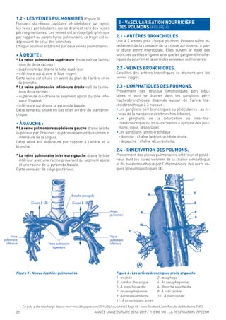 22 ANNÉE UNIVERSITAIRE 2016-2017 / THEME VIII : LA RESPIRATION / PCEM1
1.2 - LES VEINES PULMONAIRES (Figure 3).
Naissent du réseau capillaire périalvéolaire qui rejoint
les veines périlobulaires qui se drainent vers des veines
péri segmentaires. Les veines ont un trajet périphérique
par rapport au parenchyme pulmonaire, ce trajet est in-
dépendant de celui des bronches.
Chaque poumon est drainé par deux veines pulmonaires :
• À DROITE :
* La veine pulmonaire supérieure droite naît de la réu-
nion de deux racines :
- supérieure qui draine le lobe supérieur
- inférieure qui draine le lobe moyen
Cette veine est située en avant du plan de l’artère et de
la bronche.
* La veine pulmonaire inférieure droite naît de la réu-
nion deux racines :
- supérieure qui draine le segment apical du lobe infé-
rieur (Fowler)
- inférieure qui draine la pyramide basale.
Cette veine est située en bas et en arrière du plan bron-
chique.
• À GAUCHE :
* La veine pulmonaire supérieure gauche draine le lobe
supérieur par 2 racines : supérieure venant du culmen et
inférieure de la lingula.
Cette veine est antérieure par rapport à l’artère et la
bronche
* La veine pulmonaire inférieure gauche draine le lobe
inférieur avec une racine provenant du segment apical
et une racine de la pyramide basale.
Cette veine est de siège postérieur.
2 - VASCULARISATION NOURRICIÈRE
DES POUMONS (FIGURE 4).
2.1 - ARTÈRES BRONCHIQUES.
Une à 2 artères pour chaque poumon. Peuvent naître di-
rectement de la concavité de la crosse aortique ou à par-
tir d’une artère intercostale. Elles suivent le trajet des
bronches qu’elles irriguent ainsi que les ganglions lympha-
tiques du poumon et la paroi des vaisseaux pulmonaires.
2.2 - VEINES BRONCHIQUES.
Satellites des artères bronchiques se drainent vers les
veines azygos.
2.3 - LYMPHATIQUES DES POUMONS.
Proviennent des réseaux lymphatiques péri lobu-
laires et vont se drainer dans les ganglions péri-
trachéobronchiques disposés autour de l’arbre tra-
chéobronchique à 3 niveaux :
•Les ganglions péri bronchiques ou pédiculaires : au ni-
veau de la naissance des bronches lobaires.
•Les ganglions de la bifurcation ou inter-tra-
chéobronchique ou sous-carinaires = (lymphe des pou-
mons, cœur, œsophage).
•Les ganglions latéro-trachéaux :
− à droite : chaîne latéro-trachéale droite.
− à gauche : chaîne récurrentielle.
2.4 - INNERVATION DES POUMONS.
Proviennent des plexus pulmonaires antérieur et posté-
rieur dont les ibres viennent de la chaîne sympathique
et du parasympathique par l’intermédiaire des nerfs va-
gues (pneumogastriques (X).
Figure 3 : Niveau des hiles pulmonaires Figure 4 : Les artères bronchiques droite et gauche
1- trachée 2- œsophage
3- conduit thoracique 4- Ar oesophagienne
5- À bronchique dte 6- Bronche souche dte
7- br oesophagienne 8- À subclavière
9- Aorte descendante 10- À intercostale
11- À bronchiques gches
Ce poly a ete telechargé depuis med-tmss.blogspot.com/2016/08/cours.html | Page Fb : www.facebook.com/Faculte.de.Medecine.TMSS
 