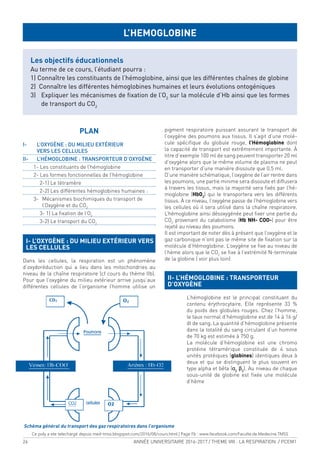 24 ANNÉE UNIVERSITAIRE 2016-2017 / THEME VIII : LA RESPIRATION / PCEM1
I- L’OXYGÈNE : DU MILIEU EXTÉRIEUR VERS
LES CELLULES
Dans les cellules, la respiration est un phénomène
d’oxydoréduction qui a lieu dans les mitochondries au
niveau de la chaîne respiratoire (cf cours du thème IIb).
Pour que l’oxygène du milieu extérieur arrive jusqu’aux
différentes cellules de l’organisme l’homme utilise un
pigment respiratoire puissant assurant le transport de
l’oxygène des poumons aux tissus. Il s’agit d’une molé-
cule spéciique du globule rouge, l’Hémoglobine dont
la capacité de transport est extrêmement importante. À
titre d’exemple 100 ml de sang peuvent transporter 20 ml
d’oxygène alors que le même volume de plasma ne peut
en transporter d’une manière dissoute que 0.5 ml.
D’une manière schématique, l’oxygène de l’air rentre dans
les poumons, une partie minime sera dissoute et diffusera
à travers les tissus, mais la majorité sera ixés par l’hé-
moglobine (HbO2
) qui le transportera vers les différents
tissus. À ce niveau, l’oxygène passe de l’hémoglobine vers
les cellules où il sera utilisé dans la chaîne respiratoire.
L’hémoglobine ainsi désoxygénée peut ixer une partie du
CO2
provenant du catabolisme (Hb NH- COO-) pour être
rejeté au niveau des poumons.
Il est important de noter dès à présent que l’oxygène et le
gaz carbonique n’ont pas le même site de ixation sur la
molécule d’Hémoglobine. L’oxygène se ixe au niveau de
l’hème alors que le CO2
se ixe à l’extrémité N-terminale
de la globine ( voir plus loin)
II- L’HÉMOGLOBINE : TRANSPORTEUR
D’OXYGÈNE
L’hémoglobine est le principal constituant du
contenu érythrocytaire. Elle représente 33 %
du poids des globules rouges. Chez l’homme,
le taux normal d’hémoglobine est de 14 à 16 g/
dl de sang. La quantité d’hémoglobine présente
dans la totalité du sang circulant d’un homme
de 70 kg est estimée à 750 g.
La molécule d’hémoglobine est une chromo
protéine tétramérique constituée de 4 sous
unités protéiques (globines) identiques deux à
deux et qui se distinguent le plus souvent en
type alpha et bêta (α2
β2
). Au niveau de chaque
sous-unité de globine est ixée une molécule
d’hème
L’HEMOGLOBINE
Les objectifs éducationnels
Au terme de ce cours, l’étudiant pourra :
1) Connaître les constituants de l’hémoglobine, ainsi que les différentes chaînes de globine
2) Connaître les différentes hémoglobines humaines et leurs évolutions ontogéniques
3) Expliquer les mécanismes de ixation de l’O2
sur la molécule d’Hb ainsi que les formes
de transport du CO2
PLAN
I- L’OXYGÈNE : DU MILIEU EXTÉRIEUR
VERS LES CELLULES
II- L’HÉMOGLOBINE : TRANSPORTEUR D’OXYGÈNE
1- Les constituants de l’hémoglobine
2- Les formes fonctionnelles de l’hémoglobine
2-1) Le tétramère
2-2) Les différentes hémoglobines humaines :
3- Mécanismes biochimiques du transport de
l’Oxygène et du CO2
3- 1) La ixation de l’O2
3-2) Le transport du CO2
Schéma général du transport des gaz respiratoires dans l’organisme
Ce poly a ete telechargé depuis med-tmss.blogspot.com/2016/08/cours.html | Page Fb : www.facebook.com/Faculte.de.Medecine.TMSS
 