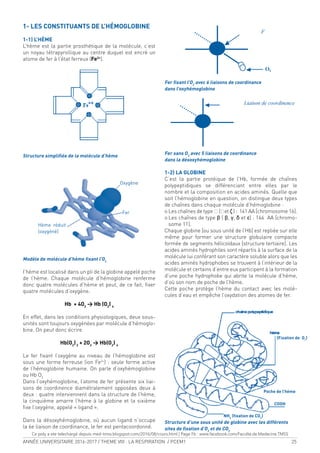 ANNÉE UNIVERSITAIRE 2016-2017 / THEME VIII : LA RESPIRATION / PCEM1 25
1- LES CONSTITUANTS DE L’HÉMOGLOBINE
1-1) L’HÈME
L’hème est la partie prosthétique de la molécule, c’est
un noyau tétrapyrollique au centre duquel est encré un
atome de fer à l’état ferreux (Fe2+
).
Structure simpliiée de la molécule d’hème
Modèle de molécule d’hème ixant l’O2
I’hème est localisé dans un pli de la globine appelé poche
de l’hème. Chaque molécule d’hémoglobine renferme
donc quatre molécules d’hème et peut, de ce fait, ixer
quatre molécules d’oxygène.
Hb + 4O2
> Hb (O2
) 4
En effet, dans les conditions physiologiques, deux sous-
unités sont toujours oxygénées par molécule d’hémoglo-
bine. On peut donc écrire
Hb(O2
)2
+ 2O2
> Hb(O2
) 4
Le fer ixant l’oxygène au niveau de l’hémoglobine est
sous une forme ferreuse (ion Fe2+
) : seule forme active
de l’hémoglobine humaine. On parle d’oxyhémoglobine
ou Hb O2
Dans l’oxyhémoglobine, l’atome de fer présente six liai-
sons de coordinence diamétralement opposées deux à
deux : quatre interviennent dans la structure de l’hème,
la cinquième amarre l’hème à la globine et la sixième
ixe l’oxygène, appelé « ligand ».
Dans la désoxyhémoglobine, où aucun ligand n’occupe
la 6e liaison de coordinance, le fer est pentacoordonné.
Fer ixant l’O2
avec 6 liaisons de coordinance
dans l’oxyhémoglobine
Fer sans O2
avec 5 liaisons de coordinance
dans la désoxyhémoglobine
1-2) LA GLOBINE
C’est la partie protéique de l’Hb, formée de chaînes
polypeptidiques se différenciant entre elles par le
nombre et la composition en acides aminés. Quelle que
soit l’hémoglobine en question, on distingue deux types
de chaînes dans chaque molécule d’hémoglobine :
o Les chaînes de type ฀ (฀et ζ ) : 141 AA [chromosome 16].
o Les chaînes de type β ( β, γ, δ et ε) : 146 AA [chromo-
some 11].
Chaque globine [ou sous unité de l’Hb] est repliée sur elle
même pour former une structure globulaire compacte
formée de segments hélicoïdaux [structure tertiaire]. Les
acides aminés hydrophiles sont répartis à la surface de la
molécule lui conférant son caractère soluble alors que les
acides aminés hydrophobes se trouvent à l’intérieur de la
molécule et certains d’entre eux participent à la formation
d’une poche hydrophobe qui abrite la molécule d’hème,
d’où son nom de poche de l’hème.
Cette poche protège l’hème du contact avec les molé-
cules d’eau et empêche l’oxydation des atomes de fer.
Hème réduit
(oxygéné)
Oxygène
Fer
Structure d’une sous unité de globine avec les différents
sites de ixation d’O2
et de CO2
(Fixation de O2
)
Poche de l’hème
COOH
NH2
(ixation de CO2
)
Ce poly a ete telechargé depuis med-tmss.blogspot.com/2016/08/cours.html | Page Fb : www.facebook.com/Faculte.de.Medecine.TMSS
 