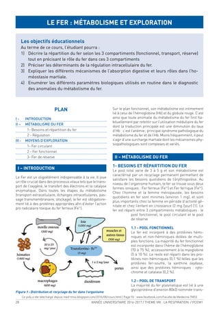 28 ANNÉE UNIVERSITAIRE 2016-2017 / THEME VIII : LA RESPIRATION / PCEM1
I – INTRODUCTION
Le Fer est un oligoélément indispensable à la vie. Il joue
un rôle crucial dans des processus vitaux tels que le trans-
port de l’oxygène, le transfert des électrons et la catalyse
enzymatique. Dans toutes les étapes du métabolisme
(transport extracellulaire, échanges intracellulaires, pas-
sage transmembranaire, stockage), le fer est obligatoire-
ment lié à des protéines appropriées ain d’éviter l’action
pro radicalaire toxique du fer ferreux (Fe²+
).
Sur le plan fonctionnel, son métabolisme est intimement
lié à celui de l’hémoglobine (Hb) et du globule rouge. C’est
ainsi que toute anomalie du métabolisme du fer init ha-
bituellement par retentir sur l’utilisation médullaire du fer
dont la traduction principale est une diminution du taux
d’Hb : c’est l’anémie; principal syndrome pathologique du
métabolisme du fer et de l’Hb. Moins fréquemment, il peut
s’agir d’une surcharge martiale dont les mécanismes phy-
siopathologiques sont complexes et variés.
II – MÉTABOLISME DU FER
1- BESOINS ET RÉPARTITION DU FER
Le pool total varie de 3 à 5 g et son métabolisme est
caractérisé par un recyclage permanent permettant de
satisfaire les besoins quotidiens de l’érythropoïèse. Au
niveau de l’organisme humain, le fer se trouve sous deux
formes ioniques : Fer ferreux (Fe2+
) et Fer ferrique (Fe3+
).
Chez l’homme et la femme ménopausée, les besoins
quotidiens en fer sont minimes (environ 1 mg), et sont
plus importants chez la femme en période d’activité gé-
nitale et chez l’enfant en croissance (2 mg /jour) [1]. Le
fer est réparti entre 3 compartiments métaboliques : le
pool fonctionnel, le pool circulant et le pool
de réserve
1.1 - POOL FONCTIONNEL
Le fer est incorporé à des protéines hémi-
niques et non-héminiques dotées de multi-
ples fonctions. La majorité du fer fonctionnel
est incorporée dans l’hème de l’hémoglobine
(70 à 75 %), accessoirement à la myoglobine
(5 à 10 %). Le reste est réparti dans les pro-
téines non-héminiques (0,1 %) telles que les
protéines fer-soufre, la xanthine oxydase,
ainsi que des protéines héminiques : cyto-
chrome et catalase (0,2 %).
1.2 - POOL DE TRANSPORT
La majorité du fer plasmatique est lié à une
glycoprotéine d’environ 80kD nommée trans-
LE FER : MÉTABOLISME ET EXPLORATION
Les objectifs éducationnels
Au terme de ce cours, l’étudiant pourra :
1) Décrire la répartition du fer selon les 3 compartiments (fonctionnel, transport, réserve)
tout en précisant le rôle du fer dans ces 3 compartiments
2) Préciser les déterminants de la régulation intracellulaire du fer.
3) Expliquer les différents mécanismes de l’absorption digestive et leurs rôles dans l’ho-
méostasie martiale.
4) Enumérer les différents paramètres biologiques utilisés en routine dans le diagnostic
des anomalies du métabolisme du fer.
PLAN
I - INTRODUCTION
II – MÉTABOLISME DU FER
1- Besoins et répartition du fer
2 - Régulation
III - MOYENS D’EXPLORATION
1- Fer circulant
2 - Fer fonctionnel
3- Fer de réserve
Figure 1 : Distribution et recyclage du fer dans l’organisme
Ce poly a ete telechargé depuis med-tmss.blogspot.com/2016/08/cours.html | Page Fb : www.facebook.com/Faculte.de.Medecine.TMSS
 