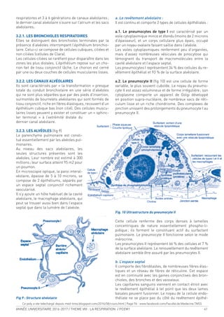 ANNÉE UNIVERSITAIRE 2016-2017 / THEME VIII : LA RESPIRATION / PCEM1 41
a. Le revêtement alvéolaire :
Il est continu et comporte 2 types de cellules épithéliales :
a.1. Le pneumocytes de type I est caractérisé par un
voile cytoplasmique mince et étendu (moins de 2 microns
d’épaisseur), et un corps cellulaire plus épais, occupé
par un noyau ovalaire faisant saillie dans l’alvéole.
Les voiles cytoplasmiques renferment peu d’organites,
mais d’assez nombreuses vésicules de pinocytose qui
témoignent du transport de macromolécules entre la
cavité alvéolaire et l’espace septal.
Les pneumocytes I représentent 34 % des cellules du re-
vêtement épithélial et 93 % de la surface alvéolaire.
a.2. Le pneumocyte II (ig 10) est une cellule de forme
variable, le plus souvent cuboïde. Le noyau du pneumo-
cyte II est assez volumineux et de forme irrégulière; son
cytoplasme comporte un appareil de Golgi développé
en position supra-nucléaire, de nombreux sacs de réti-
culum lisse et un riche chondriome. Des complexes de
jonction unissent des prolongements du pneumocyte I au
pneumocyte II.
Fig. 10 Ultrastructure du pneumocyte II
Cette cellule renferme des corps denses à lamelles
concentriques de nature essentiellement phospho-li-
pidique; ils forment le constituant actif du surfactant
pulmonaire. Le pneumocyte II fonctionne selon le mode
mérocrine.
Les pneumocytes II représentent 66 % des cellules et 7 %
de la surface alvéolaire. Le renouvellement du revêtement
alvéolaire semble être assuré par les pneumocytes II.
b. L’espace septal
Il comporte des ibroblastes, de nombreuses ibres élas-
tiques et un réseau de ibres de réticuline. Cet espace
est en continuité avec les gaines conjonctives des bron-
chioles, des bronches et des vaisseaux.
Les capillaires sanguins viennent en contact étroit avec
le revêtement épithélial à tel point que les deux lames
basales peuvent fusionner. Le noyau de la cellule endo-
théliale ne se place pas du côté du revêtement épithé-
respiratoires et 3 à 6 générations de canaux alvéolaires;
le dernier canal alvéolaire s’ouvre sur l’atrium et les sacs
alvéolaires.
3.2.1. LES BRONCHIOLES RESPIRATOIRES
Elles se distinguent des bronchioles terminales par la
présence d’alvéoles interrompant l’épithélium bronchio-
laire. Celui-ci se compose de cellules cubiques, ciliées et
non ciliées (cellules de Clara).
Les cellules ciliées se raréient pour disparaître dans les
zones les plus distales. L’épithélium repose sur un cho-
rion fait de tissu conjonctif lâche. Le chorion est cerné
par une ou deux couches de cellules musculaires lisses.
3.2.2. LES CANAUX ALVÉOLAIRES
Ils sont caractérisés par « la transformation » presque
totale du conduit bronchiolaire en une série d’alvéoles
qui ne sont plus séparées que par des pieds d’insertion,
surmontés de bourrelets alvéolaires qui sont formés de
tissu conjonctif, riche en ibres élastiques, recouvert d’un
épithélium cubique bas (non cilié). Des cellules muscu-
laires lisses peuvent y exister et constituer un « sphinc-
ter terminal » à l’extrémité distale du
dernier canal alvéolaire.
3.2.3. LES ALVÉOLES (ig 9)
Le parenchyme pulmonaire est consti-
tué essentiellement par les alvéoles pul-
monaires.
Au niveau des sacs alvéolaires, les
seules structures présentes sont les
alvéoles. Leur nombre est estimé à 300
millions; leur surface atteint 95 m2 pour
un poumon.
En microscopie optique, la paroi interal-
véolaire, épaisse de 5 à 10 microns, se
compose de 2 épithéliums, séparés par
un espace septal conjonctif richement
vascularisé.
Il s’y ajoute un hôte habituel de la cavité
alvéolaire, le macrophage alvéolaire, qui
peut se trouver aussi bien dans l’espace
septal que dans la lumière de l’alvéole.
Fig 9 : Structure alvéolaire
Ce poly a ete telechargé depuis med-tmss.blogspot.com/2016/08/cours.html | Page Fb : www.facebook.com/Faculte.de.Medecine.TMSS
 