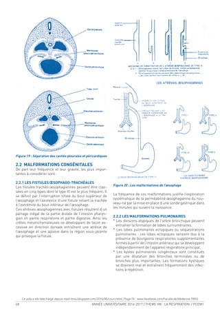48 ANNÉE UNIVERSITAIRE 2016-2017 / THEME VIII : LA RESPIRATION / PCEM1
Figure 19 : Séparation des cavités pleurales et péricardiques
2.2 MALFORMATIONS CONGÉNITALES
De part leur fréquence et leur gravité, les plus impor-
tantes à considérer sont :
2.2.1 LES FISTULES ŒSOPHAGO-TRACHÉALES
Les istules trachéo-œsophagiennes peuvent être clas-
sées en cinq types dont le type III est le plus fréquent. Il
se déinit par l’interruption totale du bout supérieur de
l’œsophage et l’existence d’une istule reliant la trachée
à l’extrémité du bout inférieur de l’œsophage.
Ces atrésies œsophagiennes avec istules résultent d’un
partage inégal de la partie distale de l’intestin pharyn-
gien en partie respiratoire et partie digestive. Ainsi les
crêtes mésenchymateuses se développant de façon ex-
cessive en direction dorsale entraînent une atrésie de
l’œsophage et une aplasie dans la région sous-jacente
qui provoque la istule.
Figure 20 : Les malformations de l’œsophage
La fréquence de ces malformations justiie l’exploration
systématique de la perméabilité œsophagienne du nou-
veau-né par la mise en place d’une sonde gastrique dans
les minutes qui suivent la naissance.
2.2.2 LES MALFORMATIONS PULMONAIRES
* Les divisions atypiques de l’arbre bronchique peuvent
entraîner la formation de lobes surnuméraires.
* Les lobes pulmonaires ectopiques ou séquestrations
pulmonaires : ces lobes ectopiques seraient dus à la
présence de bourgeons respiratoires supplémentaires
formés à partir de l’intestin antérieur qui se développent
indépendamment de l’appareil respiratoire principal.
* Les kystes pulmonaires congénitaux sont constitués
par une dilatation des bronches terminales ou de
bronches plus importantes. Les formations kystiques
se drainent mal et entraînent fréquemment des infec-
tions à répétition.
Ce poly a ete telechargé depuis med-tmss.blogspot.com/2016/08/cours.html | Page Fb : www.facebook.com/Faculte.de.Medecine.TMSS
 