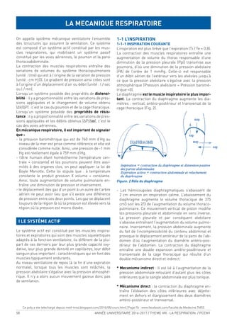 58 ANNÉE UNIVERSITAIRE 2016-2017 / THEME VIII : LA RESPIRATION / PCEM1
On appelle système mécanique ventilatoire l’ensemble
des structures qui assurent la ventilation. Ce système
est composé d’un système actif constitué par les mus-
cles respiratoires, qui mobilisent un système passif
constitué par les voies aériennes, le poumon et la paroi
thoracoabdominale.
La contraction des muscles respiratoires entraîne des
variations de volumes du système thoracopulmonaire
(unité : litre) qui est à l’origine de la variation de pression
(unité : cm H2
O). Le gradient de pression ainsi crées sont
à l’origine d’un déplacement d’air ou débit (unité : l / sec
ou l / mn).
Lorsqu’un système possède des propriétés de distensi-
bilité : il y a proportionnalité entre les variations de pres-
sions appliquées et le changement de volume obtenu
(ΔV/ΔP) : c’est le cas du poumon et de la cage thoracique.
Lorsqu’un système possède des propriétés de résis-
tance : il y a proportionnalité entre les variations de pres-
sions appliquées et les débits obtenus (ΔP/Δϖ), c’est le
cas des voies aériennes.
En mécanique respiratoire, il est important de signaler
que :
- la pression barométrique qui est de 760 mm d’Hg au
niveau de la mer est prise comme référence et elle est
considérée comme nulle. Ainsi, une pression de -1 mm
Hg est réellement égale à 759 mm d’Hg.
- l’être humain étant homéotherme (température cen-
trale ≈ constante) et les poumons peuvent être assi-
milés à des organes clos, on peut appliquer la loi de
Boyle Mariotte. Cette loi stipule que : à température
constante le produit pression X volume = constante.
Ainsi, toute augmentation de volume pulmonaire en-
traîne une diminution de pression et inversement.
- le déplacement des gaz d’un point à un autre de l’arbre
aérien ne peut avoir lieu que s’il existe une différence
de pression entre ces deux points. Les gaz se déplacent
toujours de la région là où la pression est élevée vers la
région où la pression est moins élevée.
I LE SYSTÈME ACTIF
Le système actif est constitué par les muscles inspira-
toires et expiratoires qui sont des muscles squelettiques
adaptés à la fonction ventilatoire, ils diffèrent de la plu-
part de ces derniers par leur plus grande capacité oxy-
dative, leur plus grande densité en capillaires, leur débit
sanguin plus important : caractéristiques qui en font des
muscles typiquement endurants.
Au niveau ventilatoire de repos (à la in d’une expiration
normale), lorsque tous les muscles sont relâchés, la
pression alvéolaire s’égalise avec la pression atmosphé-
rique. Il n’y a alors aucun mouvement gazeux donc pas
de ventilation.
1-1 L’INSPIRATION
1-1-1 INSPIRATION COURANTE
L’inspiration est plus brève que l’expiration (Ti / Te = 0.8).
La contraction des muscles respiratoires entraîne une
augmentation de volume du thorax responsable d’une
diminution de la pression pleurale (Ppl) transmise aux
poumons, d’où une diminution de la pression alvéolaire
(PA) de l’ordre de 1 mmHg. Celle-ci est responsable
d’un débit aérien de l’extérieur vers les alvéoles jusqu’à
ce que la pression alvéolaire s’égalise avec la pression
atmosphérique (Pression alvéolaire = Pression baromé-
trique =0).
Le diaphragme est le muscle inspiratoire le plus impor-
tant. La contraction du diaphragme augmente les dia-
mètres : vertical, antéro-postérieur et transversal de la
cage thoracique (Fig. 2).
Figure. 2 Rôle du diaphragme
- Les hémicoupoles diaphragmatiques s’abaissent de
2 cm environ en respiration calme. L’abaissement du
diaphragme augmente le volume thoracique de 375
cm3 soit les 2/3 de l’augmentation du volume thoraco-
pulmonaire. Ce mouvement vertical de piston modiie
les pressions pleurale et abdominale en sens inverse.
La pression pleurale et par conséquent alvéolaire
s’abaisse entraînant l’augmentation du volume pulmo-
naire. Inversement, la pression abdominale augmente
du fait de l’incompressibilité du contenu abdominal et
provoque le déplacement antérieur de la paroi de l’ab-
domen d’où l’augmentation du diamètre antéro-pos-
térieur de l’abdomen. La contraction du diaphragme
entraîne une double expansion antéro-postérieure et
transversale de la cage thoracique qui résulte d’un
double mécanisme direct et indirect.
* Mecanisme indirect : Il est lié à l’augmentation de la
pression abdominale refoulant d’autant plus les côtes
inférieures que la sangle abdominale est plus tonique.
* Mécanisme direct : la contraction du diaphragme en-
traîne l’élévation des côtes inférieures avec déjette-
ment en dehors et élargissement des deux diamètres
antéro-postérieur et transversal.
LA MECANIQUE RESPIRATOIRE
Ce poly a ete telechargé depuis med-tmss.blogspot.com/2016/08/cours.html | Page Fb : www.facebook.com/Faculte.de.Medecine.TMSS
 