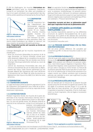ANNÉE UNIVERSITAIRE 2016-2017 / THEME VIII : LA RESPIRATION / PCEM1 59
À côté du diaphragme, les muscles intercostaux ex-
ternes participent aussi au mouvement inspiratoire.
Lorsqu’ils se contractent, les côtes sont projetées en
haut et en avant entraînant une augmentation des dia-
mètres antéro-postérieur et transversal du thorax (Fig.3).
1-1-2 INSPIRATION
FORCÉE
Lors de l’inspiration for-
cée, l’abaissement des
hémicoupoles diaphrag-
matiques peut atteindre
environ 10 cm. Cepen-
dant, d’autres muscles
appelés muscles ins-
piratoires accessoires
vont intervenir. Ce sont :
les scalènes qui élèvent les deux premières côtes, les
sterno-cléido-mastoïdiens qui élèvent le sternum, les
sous-claviers, les grands et les petits pectoraux.
Ainsi, l’inspiration qu’elle soit courante ou forcée est
un phénomène actif.
L’énergie développée par les muscles inspiratoires est
utilisée pour :
- étirer les structures distensibles du poumon et de la
cage thoracique. La fraction d’énergie utilisée pour
cette distension dépend de la compliance du poumon
et de la cage thoracique. Elle est stockée sous forme
d’énergie mécanique potentielle restituée au cours de
l’expiration.
- vaincre les résistances frictionnelles des voies aé-
riennes à l’écoulement de l’air et celles liées au dépla-
cement des tissus. Cette fraction dynamique qui est
dissipée dépend des résistances des voies aériennes
à l’écoulement de l’air (Raw), de celles du poumon au
déplacement des tissus et du débit d’air dans les voies
aériennes.
1-2 EXPIRATION
1-2-1 EXPIRATION COURANTE
La cage thoracique prend sa position expiratoire à la in
de l’inspiration, principalement sous l’effet de la rétrac-
tion élastique pulmonaire et la mise au repos des forces
distensives inspiratoires.
1-2-2 EXPIRATION FORCÉE
Pendant l’expiration forcée, les muscles de la paroi ab-
dominale et les muscles intercostaux internes vont in-
tervenir. Les muscles abdominaux jouent un rôle impor-
tant. Ce sont les grands droits, les obliques (interne et
externe) et les transverses. Lorsqu’ils se contractent, la
pression intra-abdominale
augmente et le diaphragme
est refoulé vers le haut.
Les muscles intercostaux
internes attirent les côtes
vers le bas et en dedans
et diminuent ainsi les dia-
mètres antéro-postérieur
et transversal de la cage
thoracique (Fig. 4).
Ainsi, en expiration forcée les muscles expiratoires di-
minuent le volume de la cage thoracique et augmentent,
ainsi, la pression intrathoracique. La pression atmos-
phérique étant alors inférieure à la pression alvéolaire,
le gaz sortira des poumons jusqu’à ce que la pression al-
véolaire s’égalise avec la pression atmosphérique (Pres-
sion alvéolaire = Pression barométrique =0).
L’expiration courante est donc un phénomène passif
alors que l’expiration forcée est un phénomène actif.
1- 3 FORCES APPLIQUÉES AU SYSTÈME
VENTILATOIRE (Fig.5)
Les muscles respiratoires exercent sur les différentes
structures du système thoracoabdominal, de la paroi
thoracique, de la plèvre et des alvéoles des contraintes
mesurables sous forme de pression de part et d’autre de
ces structures.
Les pressions mesurées sont :
1-3-1 LA PRESSION BAROMÉTRIQUE (PB) OU PRES-
SION PÉRITHORACIQUE
Elle est prise comme référence. On considère par
convention que PB = 0. Elle est mesurée à l’aide d’un ba-
romètre.
1-3-2 LA PRESSION PLEURALE (Ppl
)
Elle est à peu près égale à la pression régnant dans le
thorax et elle est souvent appelée pression intrathora-
cique. Cette pression est inférieure à la pression alvéo-
laire, c’est-à-dire toujours négative à l’inspiration. Mais,
elle peut être négative, nulle ou positive à l’expiration se-
lon que celle-ci est plus ou moins forcée. La mesure de
la pression pleurale (Ppl) ne peut pas être un acte routi-
nier et on la substitue par la mesure de la pression d’un
organe soumis aux mêmes variations que la pression
pleurale, par exemple la veine cave supérieure ou plus
couramment l’œsophage.
1-3-3 LA PRESSION ALVÉOLAIRE (PALV)
Elle est évaluée par la mesure de la pression buccale
quand la bouche est fermée et la glotte est ouverte. Elle
est égale à la pression buccale lorsqu’‘il n’y a pas de
débit dans les voies aériennes. La P alv est négative à
l’inspiration et positive à l’expiration. À la in d’une expi-
ration ou d’une inspiration, elle est égale à la pression
barométrique.
Figure 5 : Forces appliquées au système respiratoire
Figure 3 : Rôle des muscles
intercostaux externes
Figure 4 : Rôle des muscles
intercostaux internes
Ce poly a ete telechargé depuis med-tmss.blogspot.com/2016/08/cours.html | Page Fb : www.facebook.com/Faculte.de.Medecine.TMSS
 