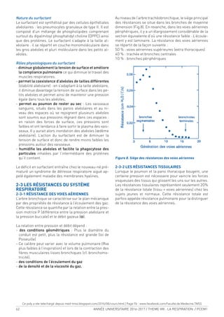 62 ANNÉE UNIVERSITAIRE 2016-2017 / THEME VIII : LA RESPIRATION / PCEM1
Nature du surfactant
Le surfactant est synthétisé par des cellules épithéliales
alvéolaires : les pneumocytes granuleux de type II. Il est
composé d’un mélange de phospholipides comprenant
surtout du dipalmitoyl phosphatidyl choline (DPPC) ainsi
que des protéines. Le surfactant s’adapte à la taille al-
véolaire : il se répartit en couche monomoléculaire dans
les gros alvéoles et pluri moléculaire dans les petits al-
véoles.
Rôles physiologiques du surfactant
- diminue globalement la tension de surface et améliore
la compliance pulmonaire ce qui diminue le travail des
muscles respiratoires.
- permet la coexistence d’alvéoles de tailles différentes
(stabilité alvéolaire) : en s’adaptant à la taille alvéolaire,
il diminue davantage la tension de surface dans les pe-
tits alvéoles et permet ainsi de maintenir une pression
égale dans tous les alvéoles.
- permet au poumon de rester au sec : Les vaisseaux
sanguins, situés dans les parois alvéolaires et au ni-
veau des espaces où se rejoignent plusieurs alvéoles
sont soumis aux pressions régnant dans ces espaces :
en raison des forces de surface, ces pressions sont
faibles et ont tendance à faire sortir le plasma des vais-
seaux. Il y aurait alors inondation des alvéoles (œdème
alvéolaire). L’action du surfactant est de diminuer la
tension de surface et donc de rendre moins faibles les
pressions autour des vaisseaux.
- humidiie les alvéoles et facilite la phagocytose des
particules inhalées par l’intermédiaire des protéines
qu’il contient.
Le déicit en surfactant entraîne chez le nouveau-né pré-
maturé un syndrome de détresse respiratoire aiguë ap-
pelé également maladie des membranes hyalines.
2-3 LES RÉSISTANCES DU SYSTÈME
RESPIRATOIRE
2-3-1 RÉSISTANCE DES VOIES AÉRIENNES
L’arbre bronchique se caractérise sur le plan mécanique
par des propriétés de résistance à l’écoulement des gaz.
Cette résistance se quantiie par la relation entre la pres-
sion motrice P (différence entre la pression alvéolaire et
la pression buccale) et le débit gazeux (ϖ).
La relation entre pression et débit dépend :
- des conditions géométriques : Plus le diamètre du
conduit est petit, plus la résistance est grande (loi de
Poiseuille)
- Ce calibre peut varier avec le volume pulmonaire (Rva
plus faibles à l’inspiration) et lors de la contraction des
ibres musculaires lisses bronchiques (cf. bronchomo-
tricité).
- des conditions de l’écoulement du gaz
- de la densité et de la viscosité du gaz.
Au niveau de l’arbre trachéobronchique, le siège principal
des résistances se situe dans les bronches de moyenne
dimension (Fig.8). En revanche, dans les voies aériennes
périphériques, il y a un élargissement considérable de la
section équivalente d’où une résistance faible : L’écoule-
ment y est laminaire. La résistance des voies aériennes
se répartit de la façon suivante :
5O % : voies aériennes supérieures (extra thoraciques)
4O % : trachée et bronches centrales
1O % : bronches périphériques
Figure 8. Siège des résistances des voies aériennes
2-3-2 LES RÉSISTANCES TISSULAIRES
Lorsque le poumon et la paroi thoracique bougent, une
certaine pression est nécessaire pour vaincre les forces
visqueuses des tissus qui glissent les uns sur les autres.
Les résistances tissulaires représentent seulement 2O%
de la résistance totale (tissu + voies aériennes) chez les
sujets jeunes et normaux. Cette résistance totale est
parfois appelée résistance pulmonaire pour la distinguer
de la résistance des voies aériennes.
Ce poly a ete telechargé depuis med-tmss.blogspot.com/2016/08/cours.html | Page Fb : www.facebook.com/Faculte.de.Medecine.TMSS
 