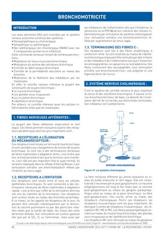 80 ANNÉE UNIVERSITAIRE 2016-2017 / THEME VIII : LA RESPIRATION / PCEM1
INTRODUCTION
Les voies aériennes (VA) sont innervées par le système
nerveux autonome constitué des systèmes :
• Parasympathique ou cholinergique
• Sympathique ou adrénergique
• Non adrénergique non cholinergique (NANC) avec ces
2 composantes excitatrice et inhibitrice.
Cette commande nerveuse remplit de nombreuses fonc-
tions :
• Modulation du tonus musculaire bronchique
• Modulation du volume des sécrétions bronchique
• Contrôle du débit sanguin bronchique
• Contrôle de la perméabilité vasculaire au niveau des
bronches
• Modulation de la libération des médiateurs par les
mastocytes.
En effet, le contrôle nerveux intéresse la plupart des
constituants de la paroi bronchique :
• Le muscle bronchique
• Les glandes sous-muqueuses
• La circulation bronchique
• L’épithélium bronchique.
Par ailleurs, ce contrôle intéresse aussi les cellules in-
lammatoires telles que les mastocytes.
1. FIBRES NERVEUSES AFFÉRENTES :
La plupart des ibres afférentes empruntent le nerf
vague. Ces ibres prennent naissance à partir des récep-
teurs périphériques dont les plus importants sont :
1.1. RECEPTEURS A L’ÉLONGATION
OU MÉCANORÉCEPTEUR :
Ces récepteurs sont situés sur le muscle lisse bronchique
et sont sensibles aux changements de tension de la paroi
bronchique. Ils sont liés à des terminaisons nerveuses
de ibres myélinisées à adaptation lente, c’est-à-dire que
leur activité persistera tant que le stimulus sera mainte-
nu. Leur rôle est peu important chez le sujet normal. Ils
seraient impliqués dans le rélexe d’Hering Breuer. Leur
stimulation entraîne une bronchodilatation rélexe par
inhibition du tonus vagal.
1.2. RECEPTEURS A L’IRRITATION
Ces récepteurs sont situés entre et sous les cellules
épithéliales bronchiques. Ils sont connectés à des ter-
minaisons nerveuses de ibres myélinisées à adaptation
rapide, c’est-à-dire que l’effet de la stimulation diminue
vite lors du maintien de la stimulation. Ces récepteurs
sont surtout situés au niveau des bronches proximales.
À ce niveau, on les appelle les récepteurs de la toux. Ils
peuvent être stimulés mécaniquement par la diminu-
tion du volume pulmonaire ou par des particules inha-
lées telles que la fumée de tabac. Au niveau des voies
aériennes distales, leur stimulation est surtout gazeuse
tels que par le SO2
, O3
ou l’ammoniac, mais aussi par
les médiateurs de l’inlammation tels que l’histamine, la
sérotonine ou la PGF2α (action indirecte des cellules in-
lammatoires par stimulation du système cholinergique).
Leur stimulation entraîne une bronchoconstriction ré-
lexe par augmentation du tonus vagal.
1.3. TERMINAISONS DES FIBRES C :
Ces récepteurs sont liés à des ibres amyéliniques à
conduction lente. Ils sont localisés au niveau de l’épithé-
lium bronchique et peuvent être stimulés par des irritants
et des médiateurs de l’inlammation tels que l’histamine,
les prostaglandines, la capsaïcine ou la bradykinine. Ces
ibres contiennent des neuropeptides. Leur stimulation
entraîne une bronchoconstriction, une polypnée et une
hypersécrétion de mucus.
2. SYSTÈME NERVEUX CHOLINERGIQUE :
C’est le système de contrôle nerveux le plus important
du tonus et des sécrétions bronchiques. Il assure un to-
nus bronchoconstricteur de base. La densité de l’inner-
vation décroît de la trachée aux bronchioles terminales.
Son médiateur est l’acétylcholine.
Figure 31. Le système cholinergique
La ibre nerveuse efférente qui prend naissance au ni-
veau du bulbe emprunte le nerf vague. Elle est consti-
tuée de 2 neurones pré et post ganglionnaire. Le neurone
préganglionnaire est long et fait relais avec le neurone
post-ganglionnaire au niveau du ganglion parasympa-
thique situé au niveau de la paroi bronchique. La ibre
post-ganglionnaire, très courte, arrive au niveau des
récepteurs cholinergiques. Parmi ces récepteurs, les
récepteurs muscariniques sont les plus importants. On
distingue 3 sortes de récepteurs muscariniques : les ré-
cepteurs M1, M2 et M3. Les ibres parasympathiques ar-
rivent au niveau du muscle lisse bronchique, des glandes
sous-muqueuses et de l’épithélium bronchique.
Les récepteurs M1 sont retrouvés au niveau de ganglions
BRONCHOMOTRICITE
Ce poly a ete telechargé depuis med-tmss.blogspot.com/2016/08/cours.html | Page Fb : www.facebook.com/Faculte.de.Medecine.TMSS
 