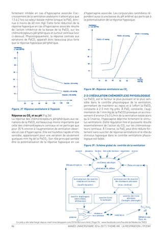 86 ANNÉE UNIVERSITAIRE 2016-2017 / THEME VIII : LA RESPIRATION / PCEM1
fortement inhibée en cas d’hypocapnie associée (l’ac-
croissement de la ventilation alvéolaire n’atteint plus que
1.5 à 2 fois sa valeur basale même lorsque la PaO2
dimi-
nue à moins de 40 mm Hg). Cette forte réduction de la
réponse hypoxique en cas d’hypocapnie associée résulte
de l’action inhibitrice de la baisse de la PaCO2
sur les
chémorécepteurs périphériques et surtout centraux (voir
ci-dessus). Physiologiquement, la réponse centrale aux
variations de PaCO2
apparaît donc beaucoup plus forte
que la réponse hypoxique périphérique.
Figure. 37 Réponse ventilatoire à l’hypoxie
Réponse au CO2
et au pH (Fig.34)
La réponse des chémorécepteurs périphériques aux va-
riations de la PaCO2
est beaucoup moins importante que
celle des chémorécepteurs centraux et ne participe que
pour 20 % environ à l’augmentation de ventilation obser-
vée en cas d’hypercapnie. Elle est toutefois rapide et très
sensible, apparaissant pour une variation de seulement
quelques mm Hg de la PaCO2
. Son rôle principal semble
être la potentialisation de la réponse hypoxique en cas
d’hypercapnie associée. Les corpuscules carotidiens ré-
pondent aussi à une baisse du pH artériel qui participe à
la potentialisation de la réponse hypoxique.
Figure 38 : Réponse ventilatoire au CO2
2-3-3 RÉGULATION CHÉMORÉFLEXE PHYSIOLOGIQUE
La PaCO2
est le facteur le plus puissant et le plus sen-
sible dans le contrôle physiologique de la ventilation,
permettant de maintenir au repos et à l’effort la PaCO2
constante à 2-3 mm Hg près. À PaO2
constante, l’aug-
mentation de 1 mm Hg de la PaCO2 provoque un accrois-
sement d’environ 2 à 3 L/min de la ventilation totale alors
qu’à l’inverse, l’hypocapnie déprime fortement le stimu-
lus ventilatoire. Cette régulation ine et puissante résulte
essentiellement de l’action du CO2
sur les chémorécep-
teurs centraux. À l’inverse, la PaO2
peut être réduite for-
tement sans susciter de réponse ventilatoire et le rôle du
stimulus hypoxique dans le contrôle ventilatoire physio-
logique est faible.
Figure 39 : Schéma global du contrôle de la ventilation
Ce poly a ete telechargé depuis med-tmss.blogspot.com/2016/08/cours.html | Page Fb : www.facebook.com/Faculte.de.Medecine.TMSS
 