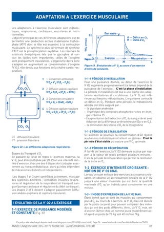 ANNÉE UNIVERSITAIRE 2016-2017 / THEME VIII : LA RESPIRATION / PCEM1 87
Les adaptations à l’exercice musculaire sont métabo-
liques, respiratoires, cardiaques, vasculaires et nutri-
tionnelles.
L’objectif principal de ces différentes adaptations est de
permettre une production accrue d’adénosine triphos-
phate (ATP) dont le rôle est essentiel à la contraction
musculaire. Le système le plus performant de synthèse
d’ATP est la phosphorylation oxydative. Les réserves de
substrats énergétiques tels que le glycogène et sur-
tout les lipides sont importantes, celles de l’oxygène
sont pratiquement inexistantes. L’organisme devra donc
s’adapter en augmentant sa consommation d’oxygène
(V’ O2
), rôle dévolu aux fonctions de la chaîne cardio-res-
piratoire.
DT : diffusion tissulaire
PT : pression tissulaire
Figure 40 : Les différentes adaptations respiratoires
Étapes du Transport d’O2
En passant de l’état de repos à l’exercice maximal, la
V’ O2
peut être multipliée par 20. Pour une intensité don-
née d’exercice, chacune des 4 étapes doit s’adapter exac-
tement au niveau métabolique, alors qu’elles dépendent
de mécanismes distincts et indépendants :
Les étapes 1 et 3 sont contrôlées activement, mais par
des systèmes différents : ventilation (muscles respira-
toires et régulation de la respiration) et transport san-
guin (pompe cardiaque et régulation du débit cardiaque);
Les étapes 2 et 4 doivent s’adapter passivement (diffu-
sion alvéolo-capillaire et capillaro-tissulaire).
I ÉVOLUTION DE LA V’ O2 A L’EXERCICE
1-1 EXERCICE DE PUISSANCE MODÉRÉE
ET CONSTANTE (Fig. 37)
Figure 41 : Évolution de la V’ O2
au cours d’un exercice
d’intensité constante.
1-1-1 PÉRIODE D’INSTALLATION
Pour une puissance donnée, au début de l’exercice la
V’ O2 augmente progressivement (ce temps dépend de la
puissance de l’exercice) : C’est la phase d’installation.
La période d’installation est due à une inertie des adap-
tations ventilatoires et circulatoires. La V’ O2
est infé-
rieure aux besoins métaboliques. L’organisme contracte
un déicit en O2
. Pendant cette période, le métabolisme
aérobie doit être suppléé par :
- la glycolyse anaérobie
- l’hydrolyse des composés phosphorés riches en éner-
gie (créatine P)
- l’augmentation de l’extraction d’O2
du sang artériel avec
élévation de la différence artérioveineuse (Da-v en O2
).
- la diminution des stocks d’O2
de la myoglobine
1-1-2 PÉRIODE DE STABILISATION
Si l’exercice se poursuit, la consommation d’O2 répond
aux besoins métaboliques et atteint un plateau : C’est la
période d’état stable qui assure une V’O2
optimale.
1-1-3 PÉRIODE DE RÉCUPÉRATION
À l’arrêt de l’exercice, la V’ O2 demeure accrue par rap-
port à la valeur de repos pendant plusieurs minutes :
C’est la période de récupération qui permet la restitution
de la dette en O2
.
1-2 EXERCICE D’INTENSITÉ CROISSANTE :
NOTION DE V’ O2 MAX.
Lorsqu’un sujet exécute des exercices à puissance crois-
sante, on observe un accroissement linéaire de la V’ O2
jusqu’à une valeur maximale qui est donc la quantité
maximale d’O2
qu’un individu peut consommer en une
minute.
1-2- 1 MODE D’EXPRESSION DE LA V’ O2 MAX.
Étant donné que ce sont les muscles qui consomment
plus d’O2
au cours de l’exercice, la V’ O2
max est divisée
par le poids corporel pour pouvoir comparer des indivi-
dus qui ont des poids différents. Ainsi, La V’ O2
max. est
d’environ 3l/min chez un homme jeune modérément ac-
tif ayant un poids de 75 Kg soit 40 ml/min /Kg.
ADAPTATION A L’EXERCICE MUSCULAIRE
1
2
3
4
1. Convection ventilatoire
V’O2
= V’E
(FI
O2
− FE
O2
)
2. Diffusion alvéolo-capillaire
V’O2
= DL
O2
× (PA
O2
− PCO2
)
3. Convection circulatoire
V’O2
= QC
× (CaO2
−CvO2
)
4. Diffusion capillaro-tissulaire
V’O2
= DT
O2
× (PC
O2
− PT
O2
)
Ce poly a ete telechargé depuis med-tmss.blogspot.com/2016/08/cours.html | Page Fb : www.facebook.com/Faculte.de.Medecine.TMSS
 