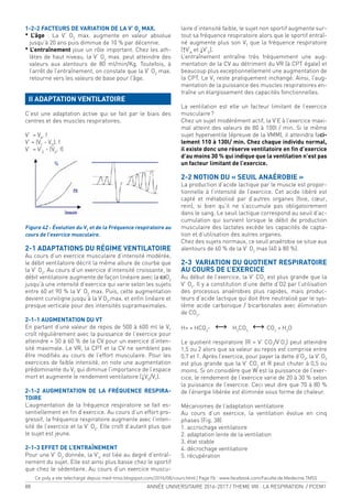 88 ANNÉE UNIVERSITAIRE 2016-2017 / THEME VIII : LA RESPIRATION / PCEM1
1-2-2 FACTEURS DE VARIATION DE LA V’ O2
MAX.
* L’âge : La V’ O2
max. augmente en valeur absolue
jusqu’à 20 ans puis diminue de 10 % par décennie.
* L’entraînement joue un rôle important. Chez les ath-
lètes de haut niveau, la V’ O2
max. peut atteindre des
valeurs aux alentours de 80 ml/min/Kg. Toutefois, à
l’arrêt de l’entraînement, on constate que la V’ O2
max.
retourne vers les valeurs de base pour l’âge.
II ADAPTATION VENTILATOIRE
C’est une adaptation active qui se fait par le biais des
centres et des muscles respiratoires.
V’ = VA
. f
V’ = (VT
- VD
). f
V’ = V’E
- (VD
. f)
Figure 42 : Évolution du VT
et de la Fréquence respiratoire au
cours de l’exercice musculaire.
2-1 ADAPTATIONS DU RÉGIME VENTILATOIRE
Au cours d’un exercice musculaire d’intensité modérée,
le débit ventilatoire décrit la même allure de courbe que
la V’ O2
. Au cours d’un exercice d’intensité croissante, le
débit ventilatoire augmente de façon linéaire avec la wO2
jusqu’à une intensité d’exercice qui varie selon les sujets
entre 60 et 90 % la V’ O2
max. Puis, cette augmentation
devient curviligne jusqu’à la V’O2
.max. et enin linéaire et
presque verticale pour des intensités supramaximales.
2-1-1 AUGMENTATION DU VT
En partant d’une valeur de repos de 500 à 600 ml le VT
croît régulièrement avec la puissance de l’exercice pour
atteindre ≈ 50 à 60 % de la CV pour un exercice d’inten-
sité maximale. Le VR, la CPT et la CV ne semblent pas
être modiiés au cours de l’effort musculaire. Pour les
exercices de faible intensité, on note une augmentation
prédominante du VT
qui diminue l’importance de l’espace
mort et augmente le rendement ventilatoire (↓VD
/VT
).
2-1-2 AUGMENTATION DE LA FRÉQUENCE RESPIRA-
TOIRE
L’augmentation de la fréquence respiratoire se fait es-
sentiellement en in d’exercice. Au cours d’un effort pro-
gressif, la fréquence respiratoire augmente avec l’inten-
sité de l’exercice et la V’ O2
. Elle croît d’autant plus que
le sujet est jeune.
2-1-3 EFFET DE L’ENTRAÎNEMENT
Pour une V’ O2
donnée, la V’E
est liée au degré d’entraî-
nement du sujet. Elle est ainsi plus basse chez le sportif
que chez le sédentaire. Au cours d’un exercice muscu-
laire d’intensité faible, le sujet non sportif augmente sur-
tout sa fréquence respiratoire alors que le sportif entraî-
né augmente plus son VT
que la fréquence respiratoire
(↑V’A
et ↓V’D
).
L’entraînement entraîne très fréquemment une aug-
mentation de la CV au détriment du VR (à CPT égale) et
beaucoup plus exceptionnellement une augmentation de
la CPT. Le VT
reste pratiquement inchangé. Ainsi, l’aug-
mentation de la puissance des muscles respiratoires en-
traîne un élargissement des capacités fonctionnelles.
La ventilation est elle un facteur limitant de l’exercice
musculaire?
Chez un sujet modérément actif, la V’E à l’exercice maxi-
mal atteint des valeurs de 80 à 100l / min. Si le même
sujet hyperventile (épreuve de la VMM), il atteindra faci-
lement 110 à 130l/ min. Chez chaque individu normal,
il existe donc une réserve ventilatoire en in d’exercice
d’au moins 30 % qui indique que la ventilation n’est pas
un facteur limitant de l’exercice.
2-2 NOTION DU « SEUIL ANAÉROBIE »
La production d’acide lactique par le muscle est propor-
tionnelle à l’intensité de l’exercice. Cet acide libéré est
capté et métabolisé par d’autres organes (foie, cœur,
rein), si bien qu’il ne s’accumule pas obligatoirement
dans le sang. Le seuil lactique correspond au seuil d’ac-
cumulation qui survient lorsque le débit de production
musculaire des lactates excède les capacités de capta-
tion et d’utilisation des autres organes.
Chez des sujets normaux, ce seuil anaérobie se situe aux
alentours de 60 % de la V’ O2
max (40 à 80 %).
2-3 VARIATION DU QUOTIENT RESPIRATOIRE
AU COURS DE L’EXERCICE
Au début de l’exercice, la V’ CO2
est plus grande que la
V’ O2
. Il y a constitution d’une dette d’O2 par l’utilisation
des processus anaérobies plus rapides, mais produc-
teurs d’acide lactique qui doit être neutralisé par le sys-
tème acide carbonique / bicarbonates avec élimination
de CO2
.
H+ + HCO3
- fg H2
CO3
fg CO2
+ H2
O
Le quotient respiratoire (R = V’ CO2
/V’O2
) peut atteindre
1,5 ou 2 alors que sa valeur au repos est comprise entre
0,7 et 1. Après l’exercice, pour payer la dette d’O2
, la V’ O2
est plus grande que la V’ CO2
et R peut chuter à 0,5 ou
moins. Si on considère que W est la puissance de l’exer-
cice, le rendement de l’exercice varie de 20 à 30 % selon
la puissance de l’exercice. Ceci veut dire que 70 à 80 %
de l’énergie libérée est éliminée sous forme de chaleur.
Mécanismes de l’adaptation ventilatoire
Au cours d’un exercice, la ventilation évolue en cinq
phases (Fig. 38)
1. accrochage ventilatoire
2. adaptation lente de la ventilation
3. état stable
4. décrochage ventilatoire
5. récupération
Ce poly a ete telechargé depuis med-tmss.blogspot.com/2016/08/cours.html | Page Fb : www.facebook.com/Faculte.de.Medecine.TMSS
 