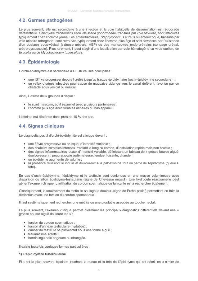 Poly urologie Poly urologie