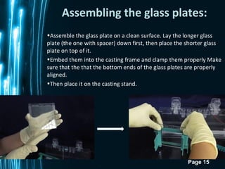 Page 15
Assembling the glass plates:
•Assemble the glass plate on a clean surface. Lay the longer glass
plate (the one with spacer) down first, then place the shorter glass
plate on top of it.
•Embed them into the casting frame and clamp them properly Make
sure that the that the bottom ends of the glass plates are properly
aligned.
•Then place it on the casting stand.
 