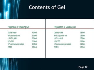 Page 17
Contents of Gel
 