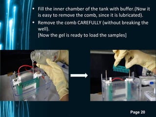 Page 20
• Fill the inner chamber of the tank with buffer.(Now it
is easy to remove the comb, since it is lubricated).
• Remove the comb CAREFULLY (without breaking the
well).
[Now the gel is ready to load the samples]
 