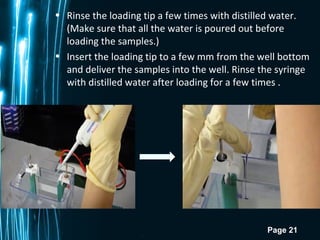 Page 21
• Rinse the loading tip a few times with distilled water.
(Make sure that all the water is poured out before
loading the samples.)
• Insert the loading tip to a few mm from the well bottom
and deliver the samples into the well. Rinse the syringe
with distilled water after loading for a few times .
 